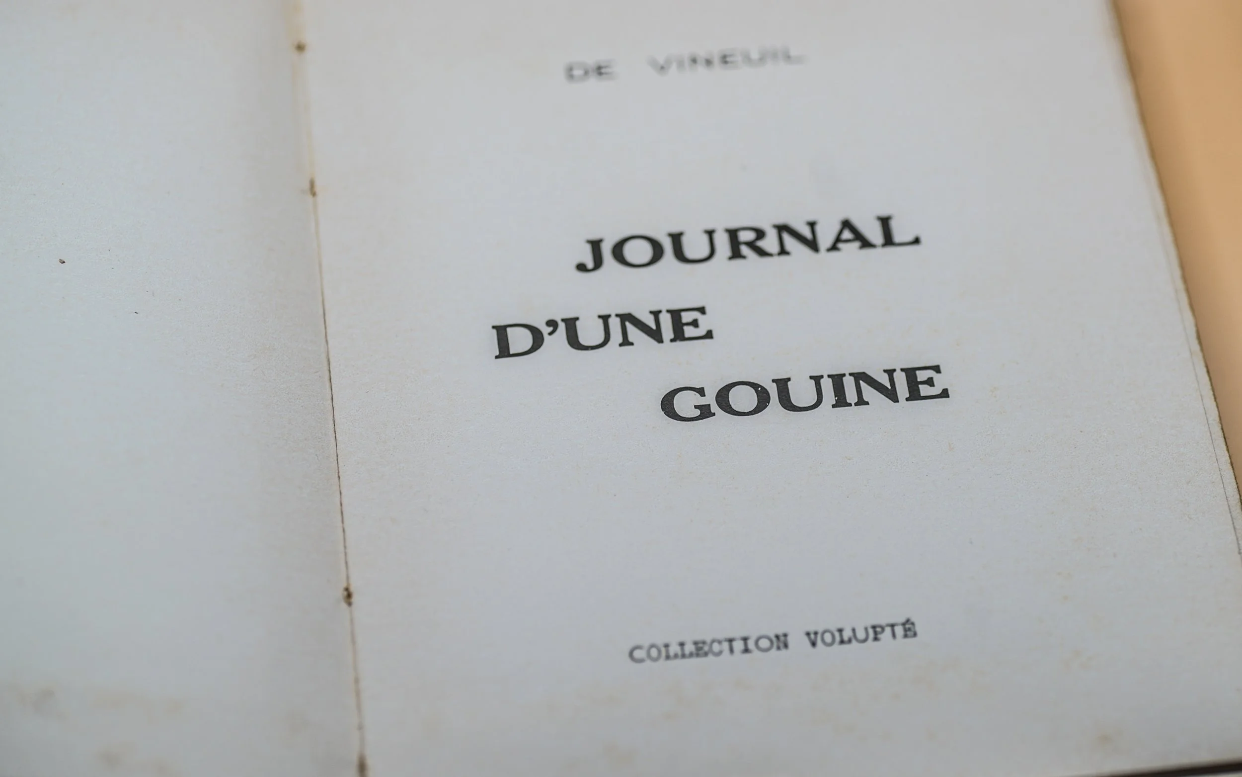 Curiosa  Journal d'une gouine Illustré photographies argentiques (4).JPG