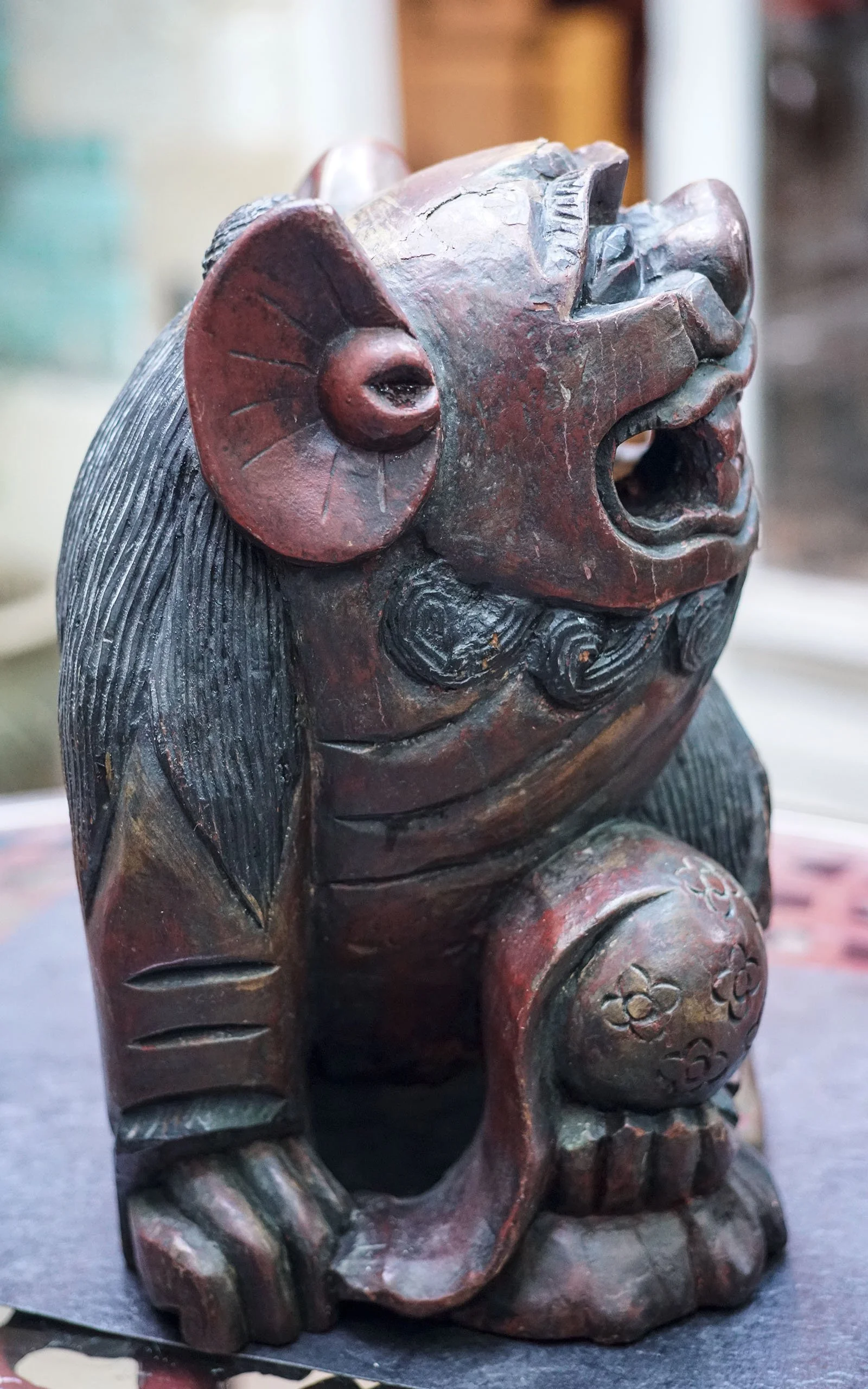 Chiens de Fô bois (12).JPG