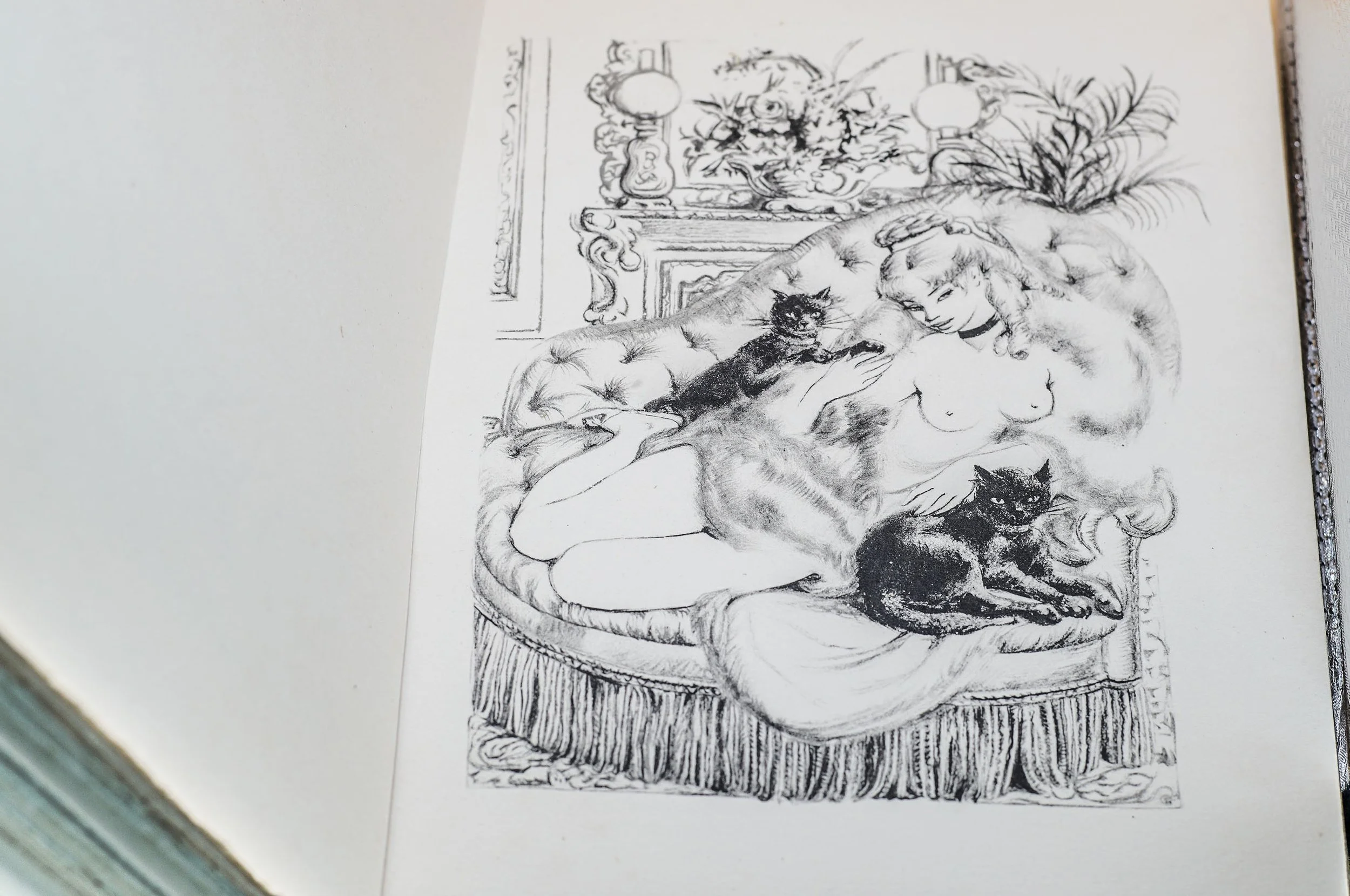 SACHER-MASOCH La Vénus aux fourrures (9).JPG