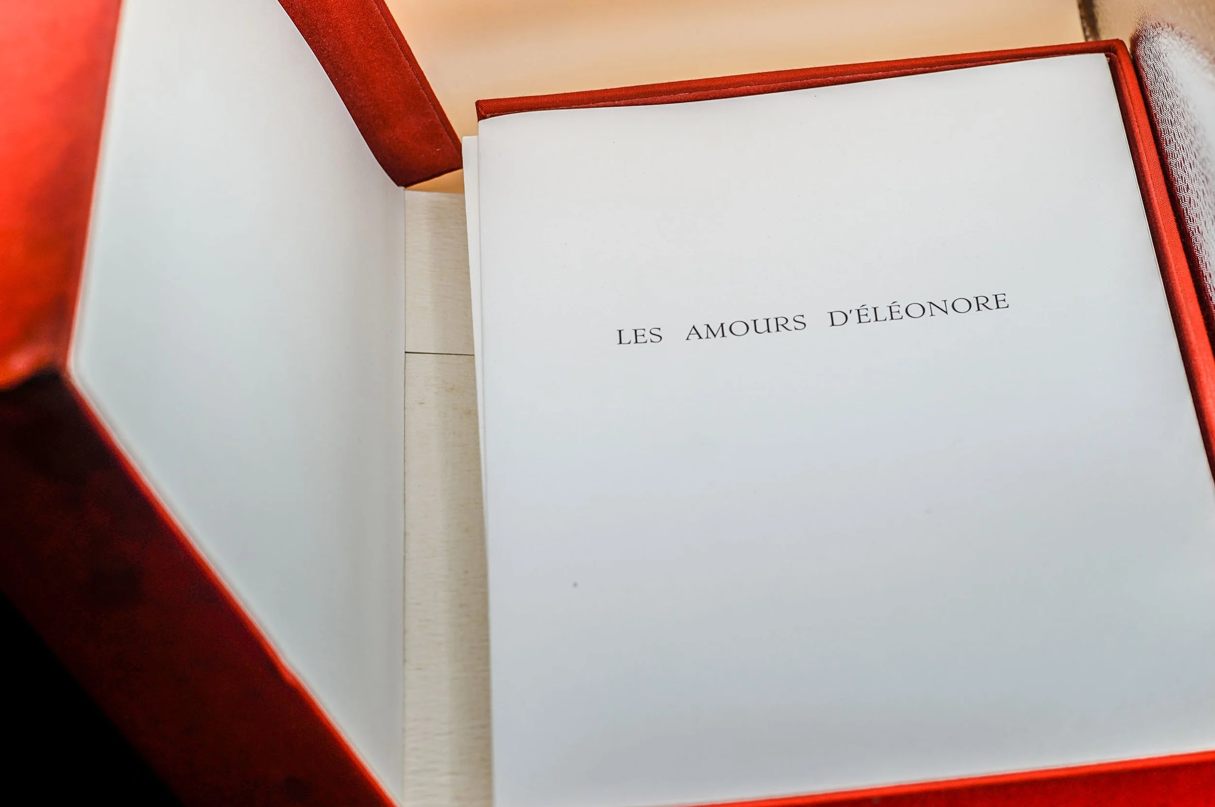 Les amours d'Eléonore Curiosa, Illustrations d'Alain DUMOND (4).JPG