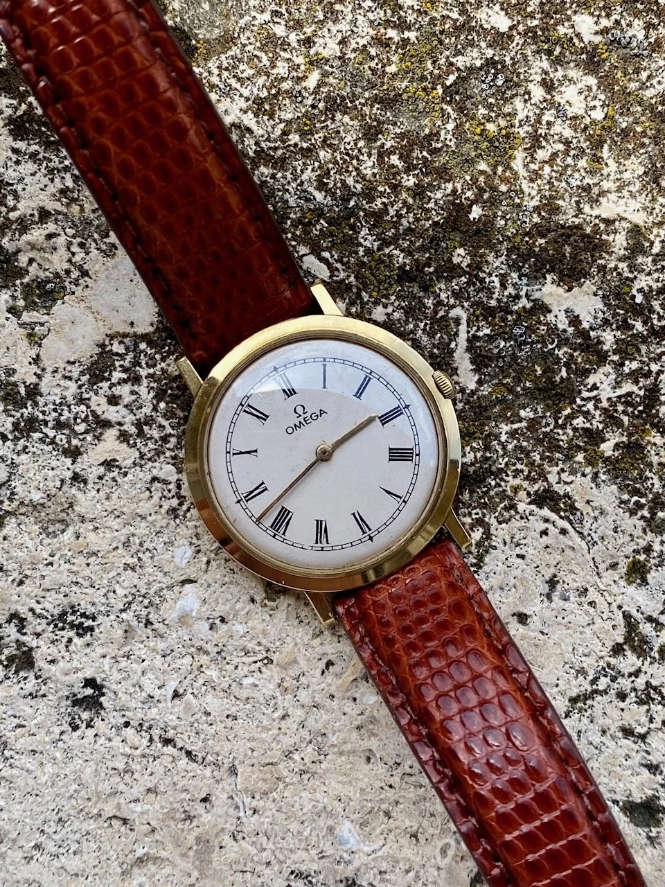 Oméga Calatrava 1.jpg