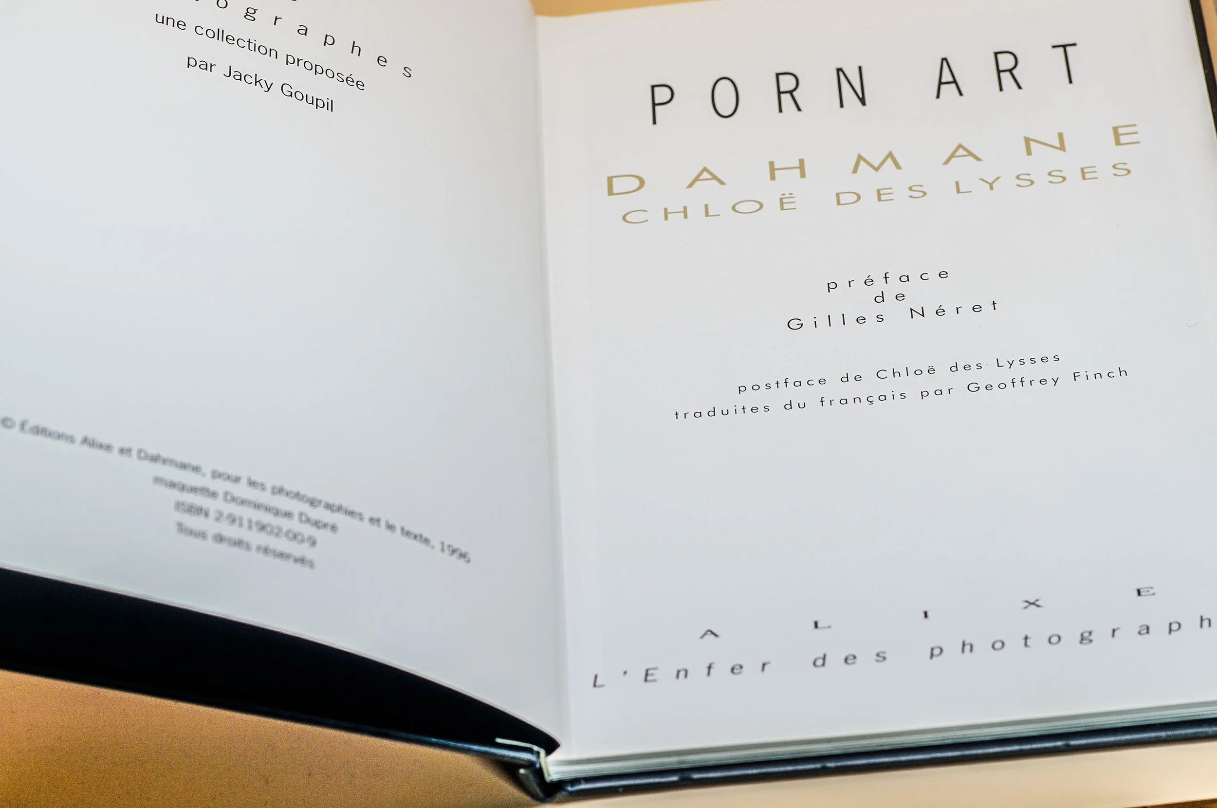 DAHMANE, Chloé des Lysses, PORN ART 1 (2).JPG