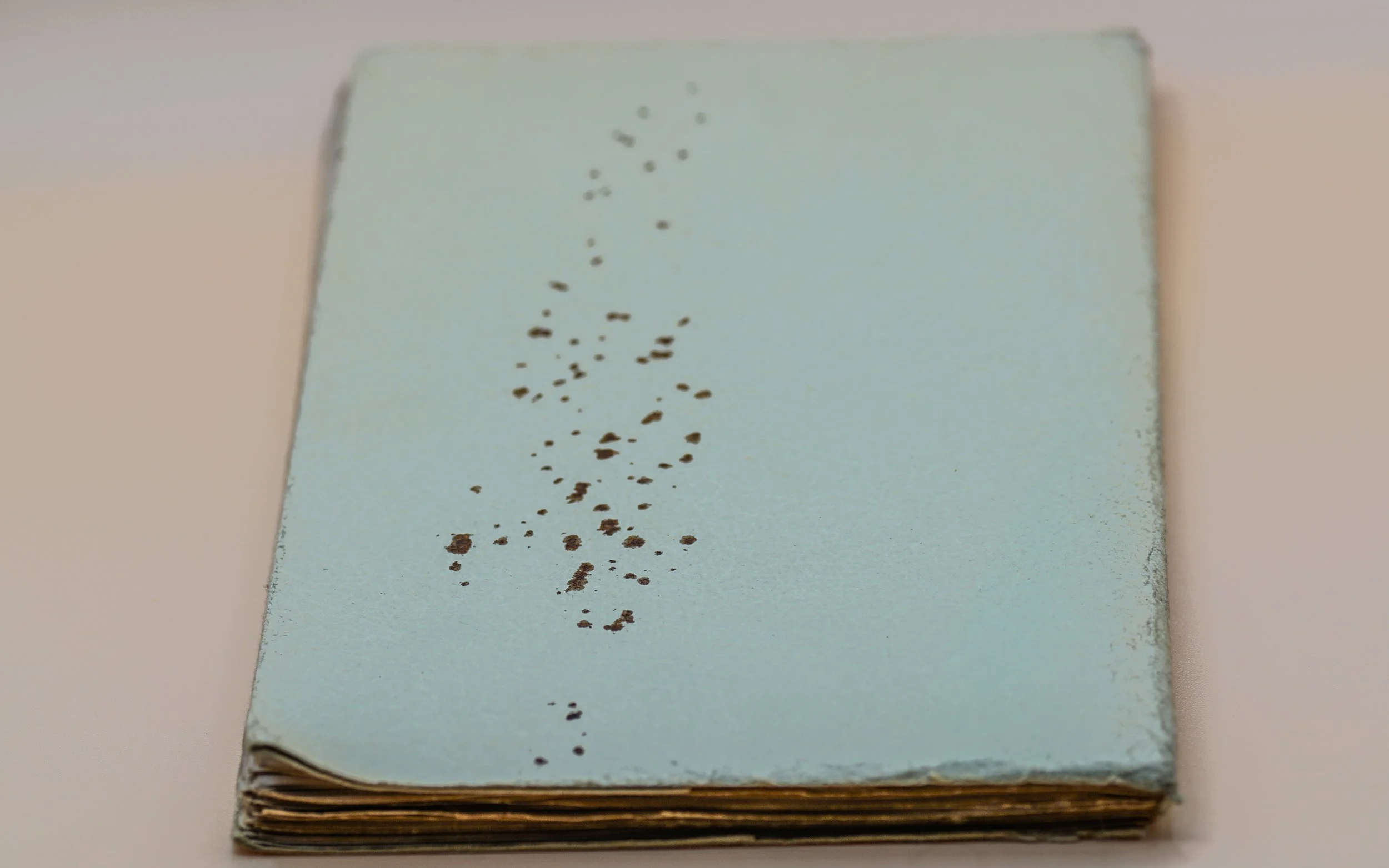 Curiosa  Journal d'une gouine Illustré photographies argentiques (2).JPG