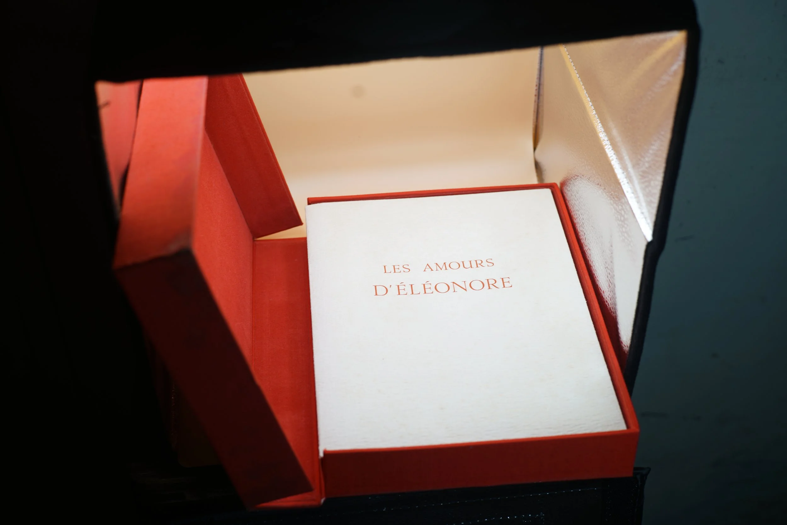 Les amours d'Eléonore Curiosa, Illustrations d'Alain DUMOND (2).JPG