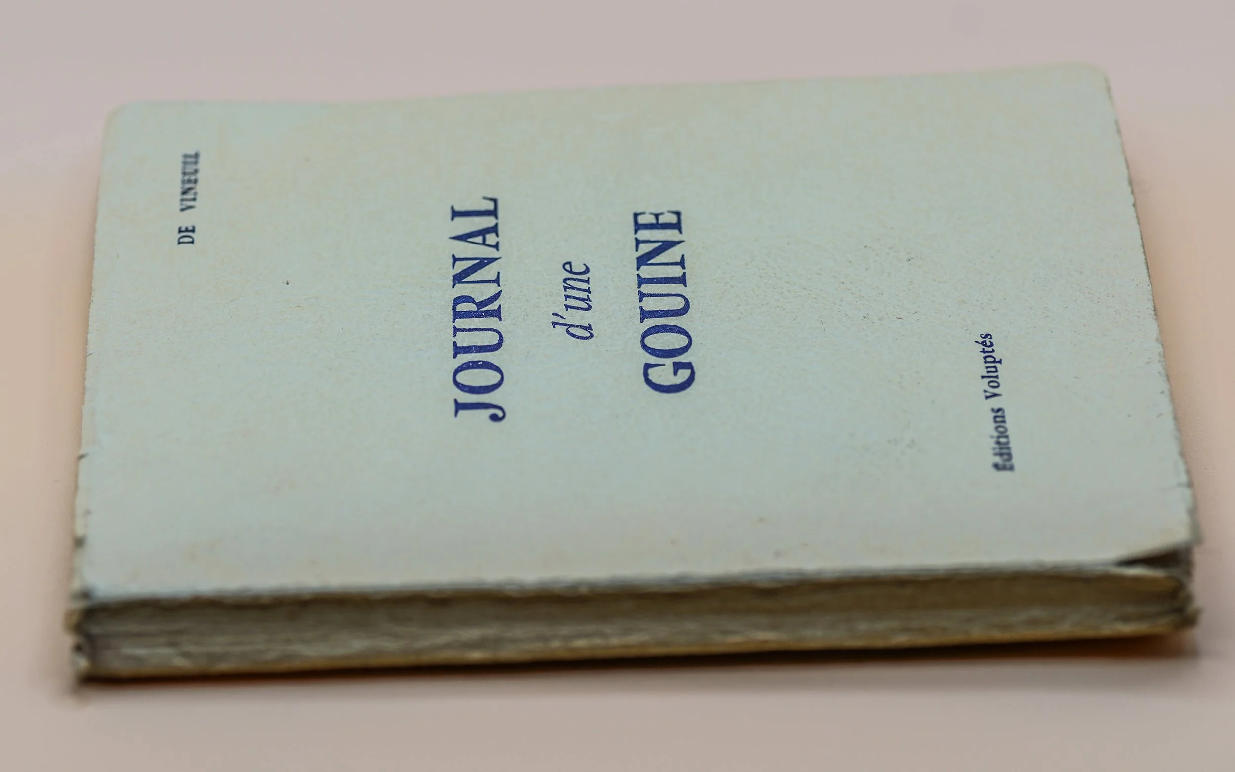 Curiosa  Journal d'une gouine Illustré photographies argentiques (5).JPG