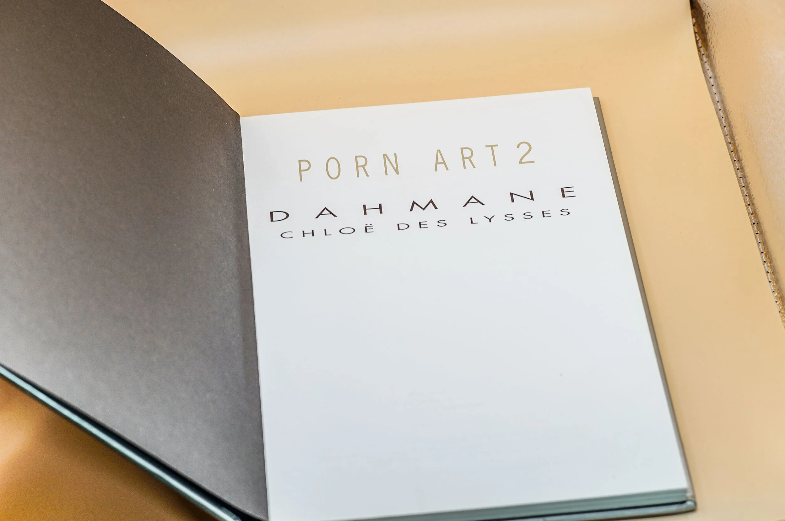 DAHMANE Chloé des Lysses PORN ART 2 Curiosa (2).JPG