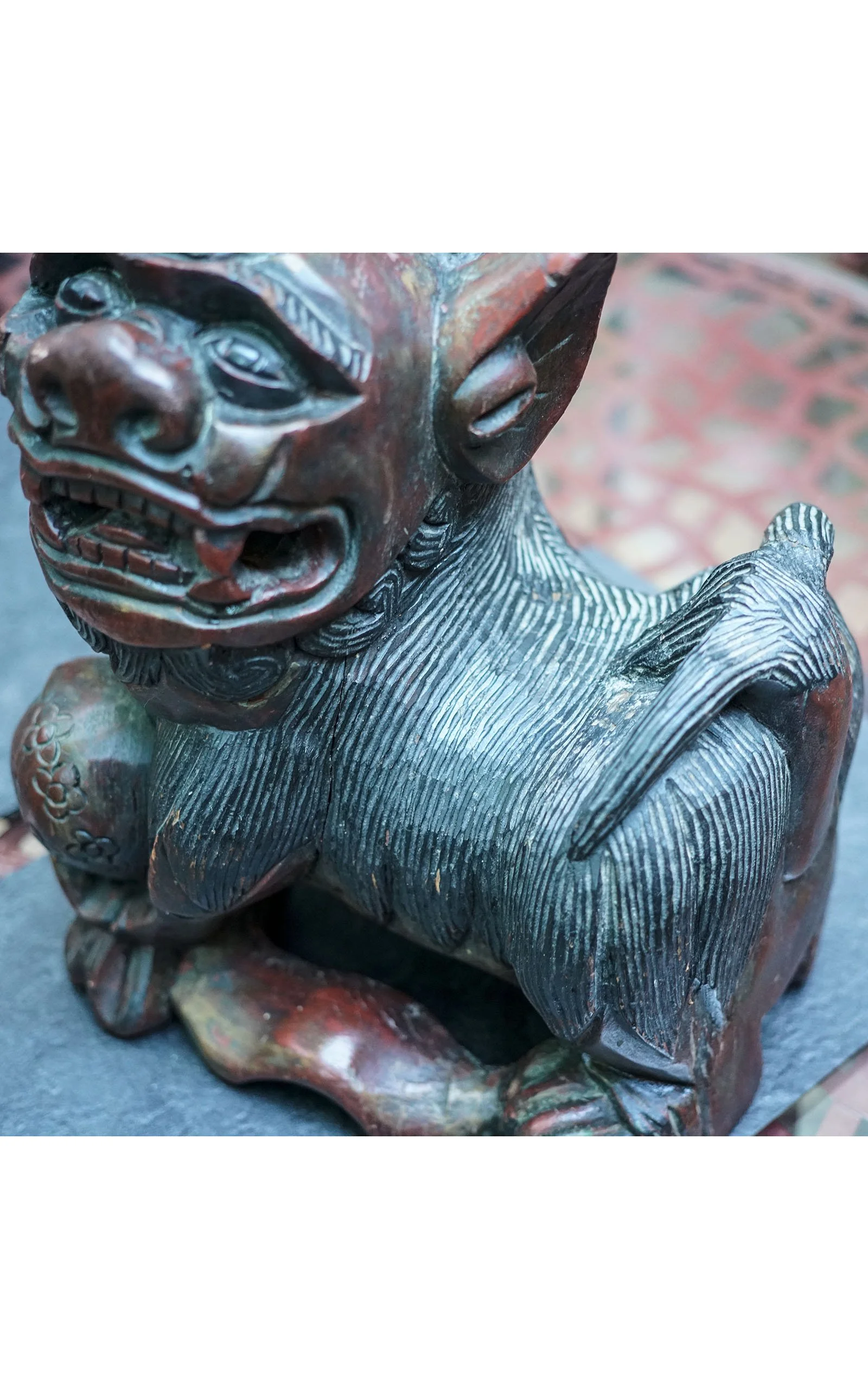 Chiens de Fô bois (14).JPG