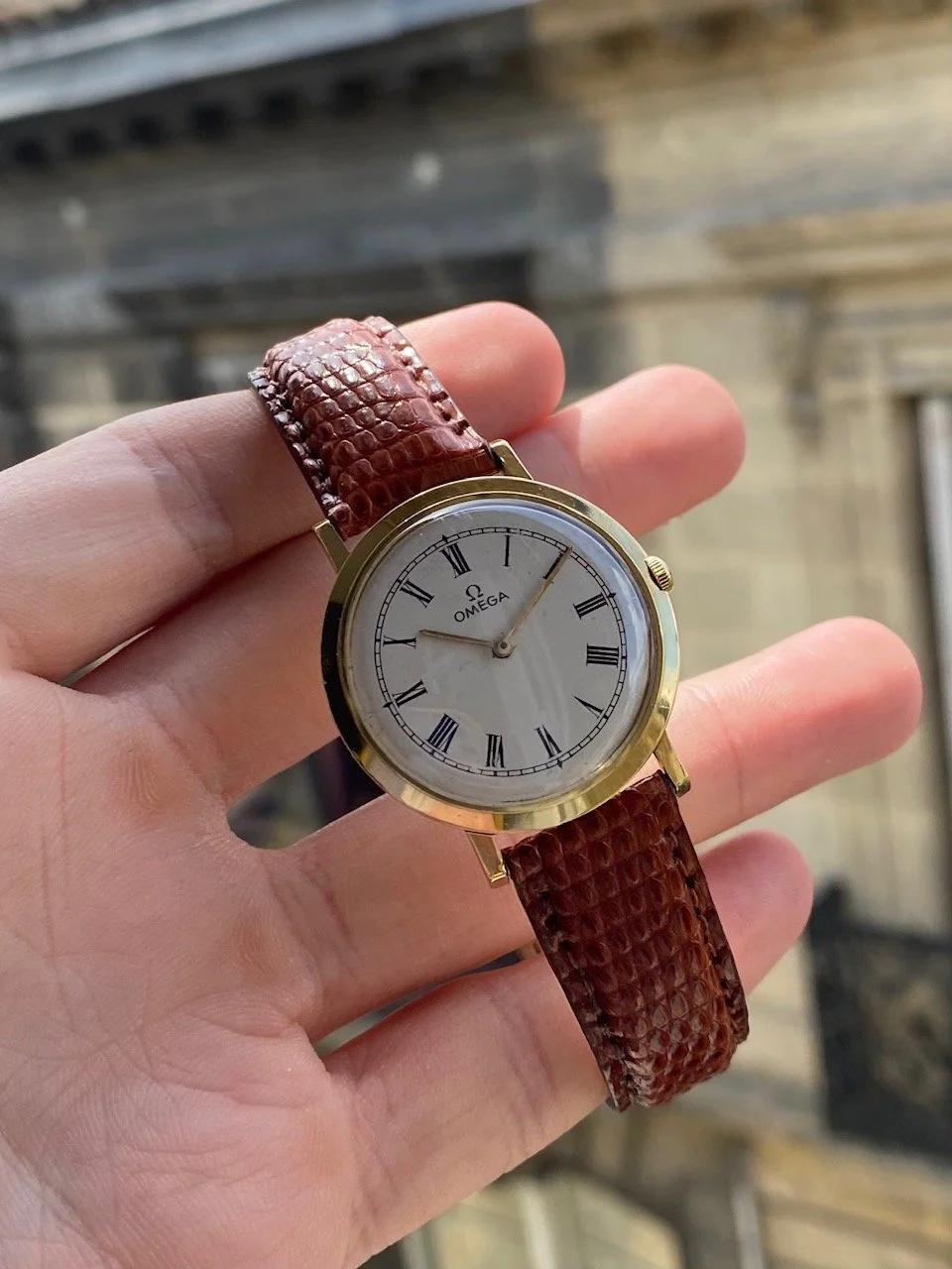 Oméga Calatrava 5.jpg