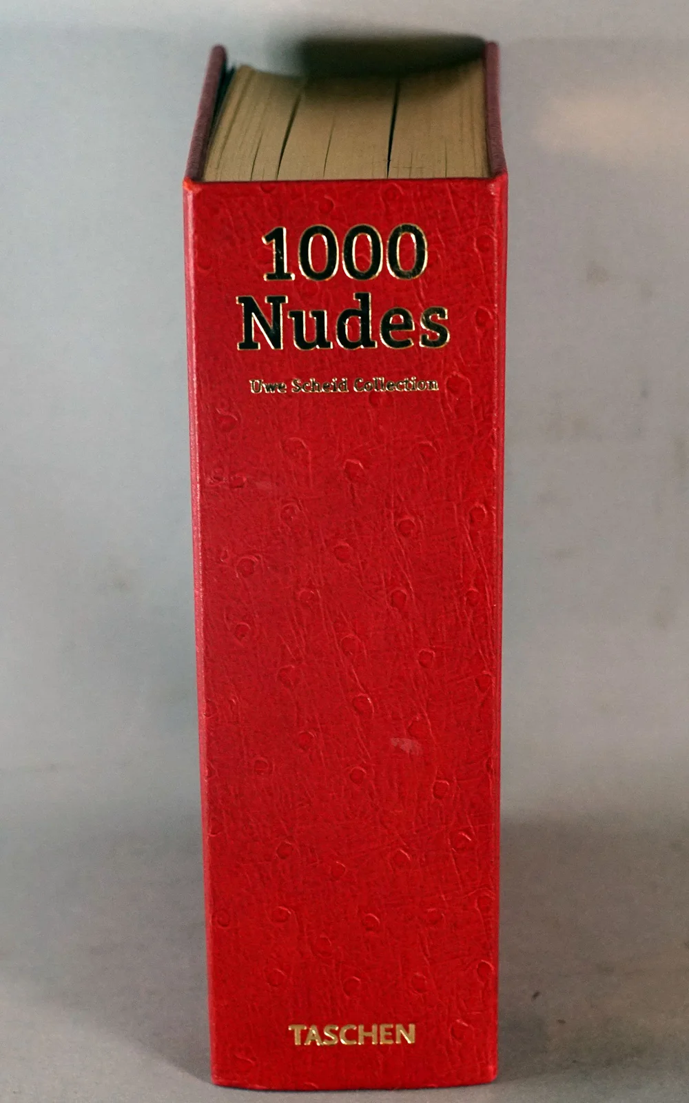 1000 NUDES Taschen — Le Centre Ville Antiquités