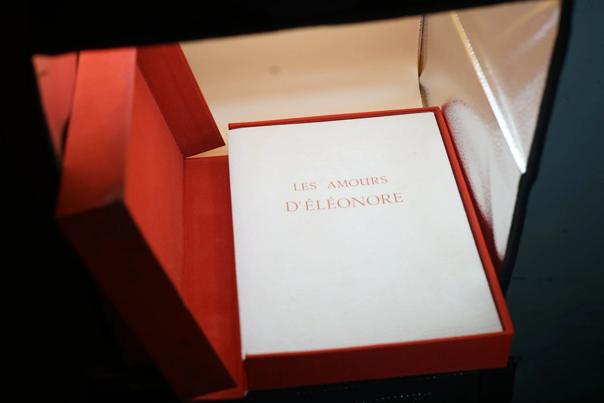 Les amours d'Eléonore Curiosa, Illustrations d'Alain DUMOND (3).JPG