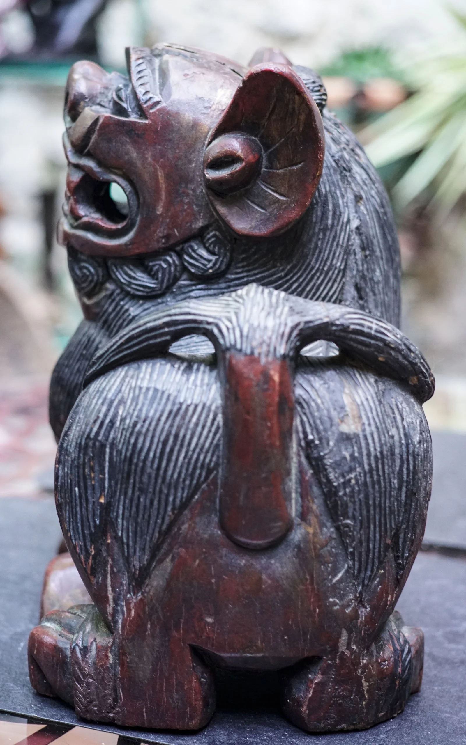 Chiens de Fô bois (10).JPG