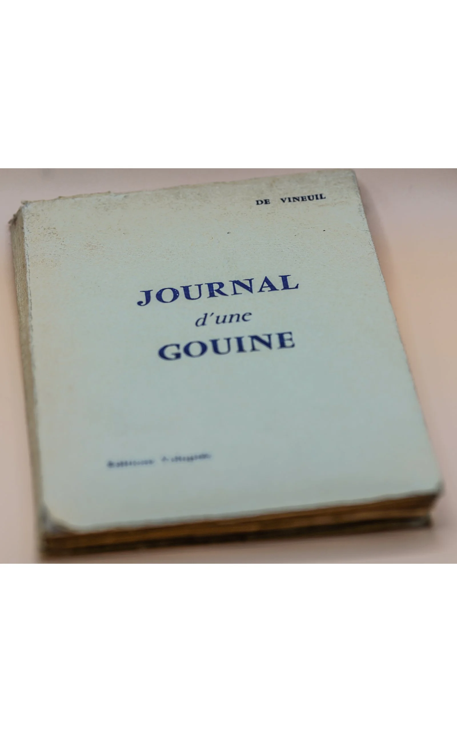 Curiosa  Journal d'une gouine Illustré photographies argentiques (1).JPG
