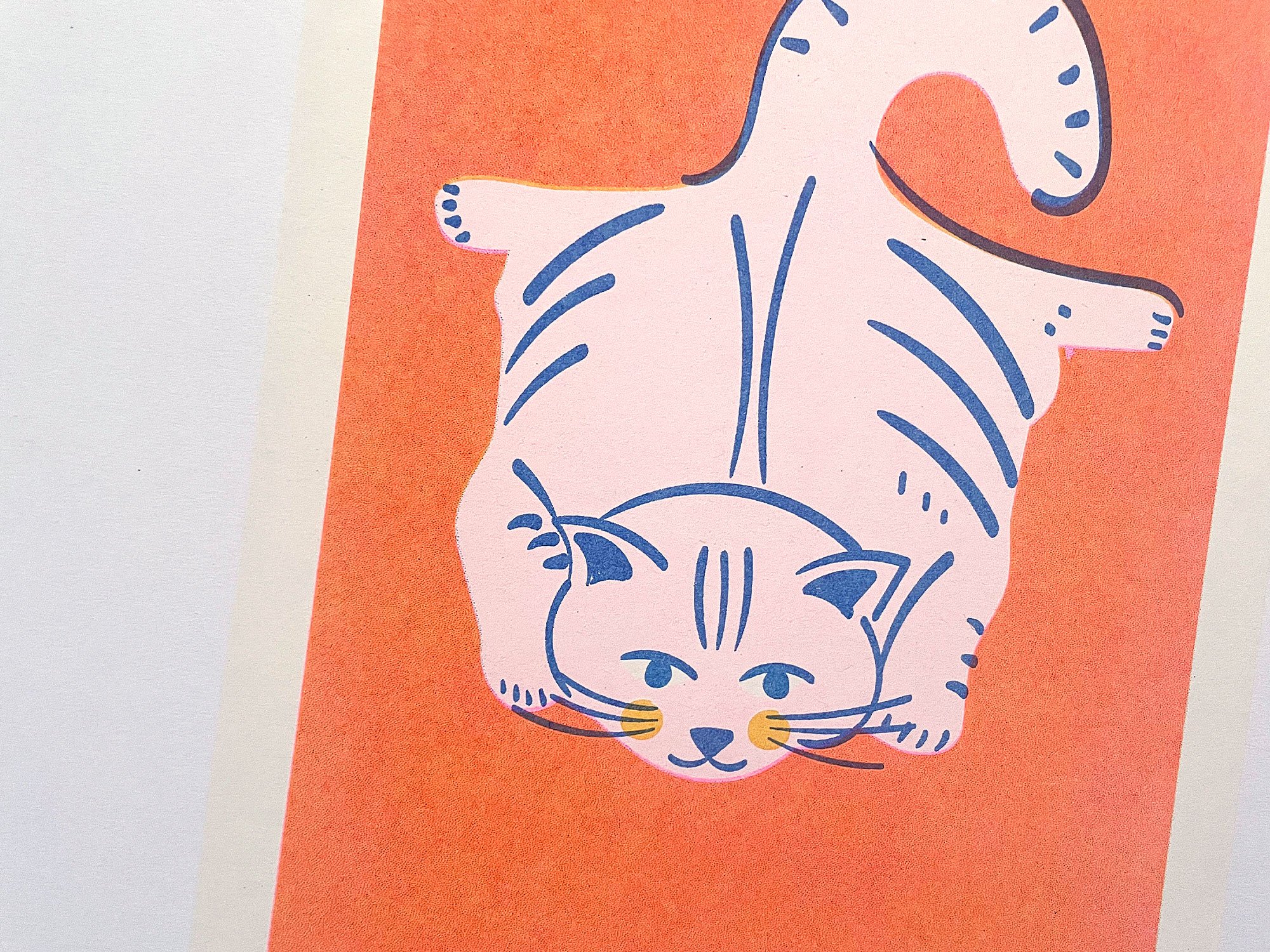 riso-flat-cat-2.jpg
