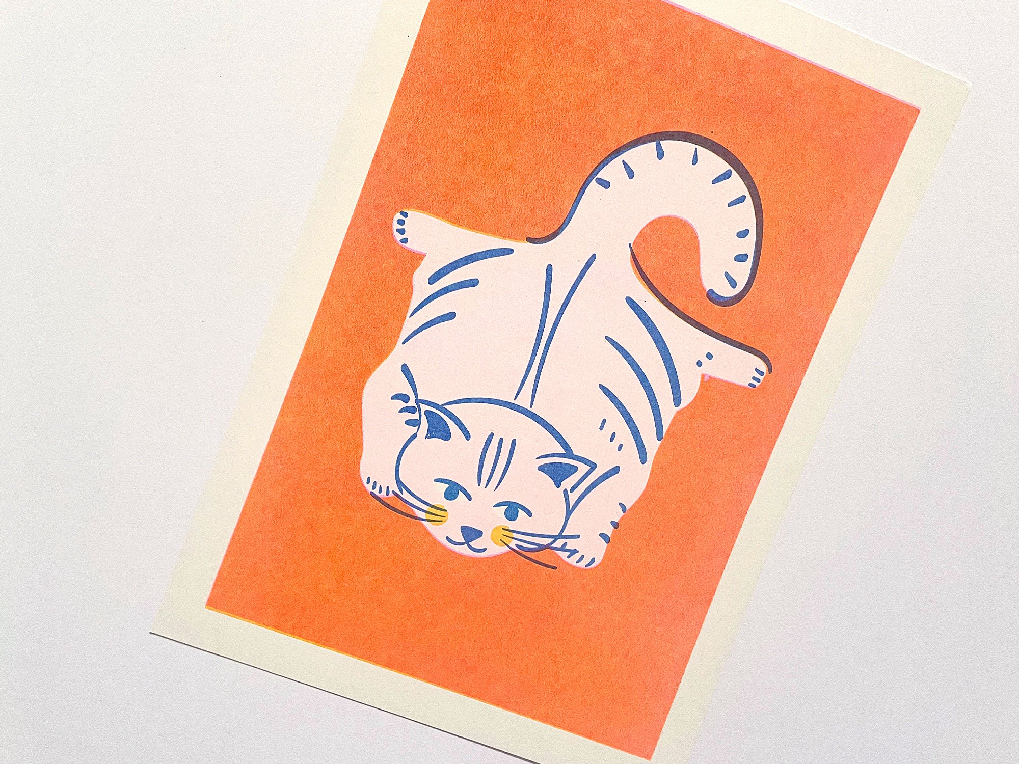 riso-flat-cat-3.jpg