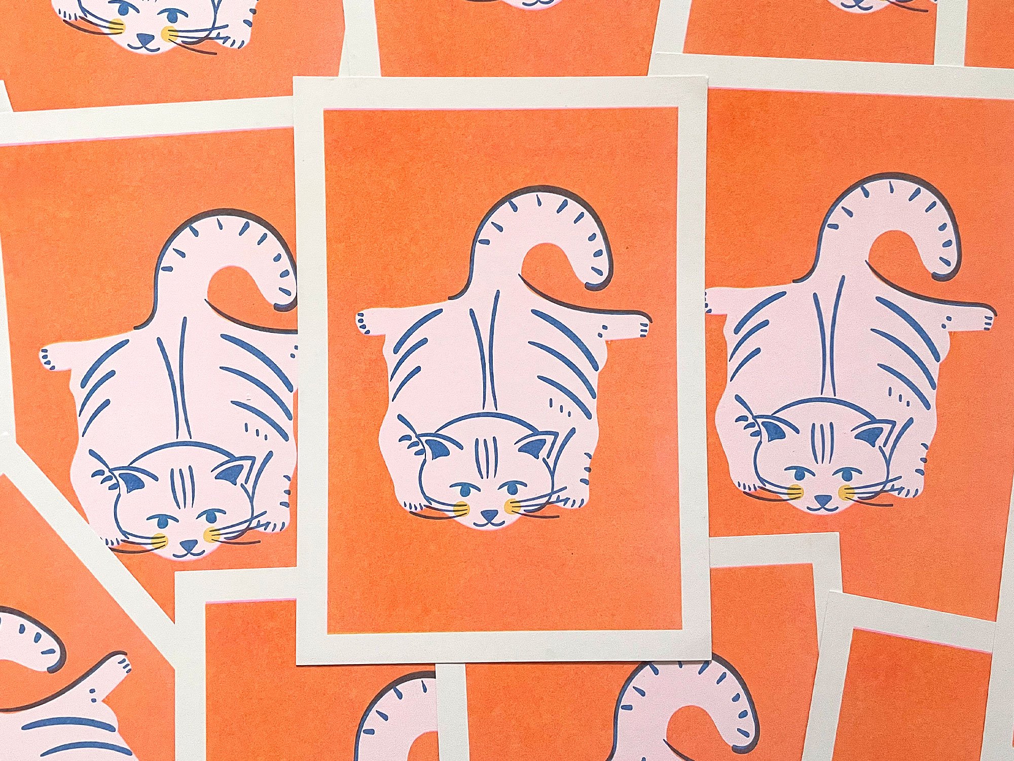 riso-flat-cat-5.jpg
