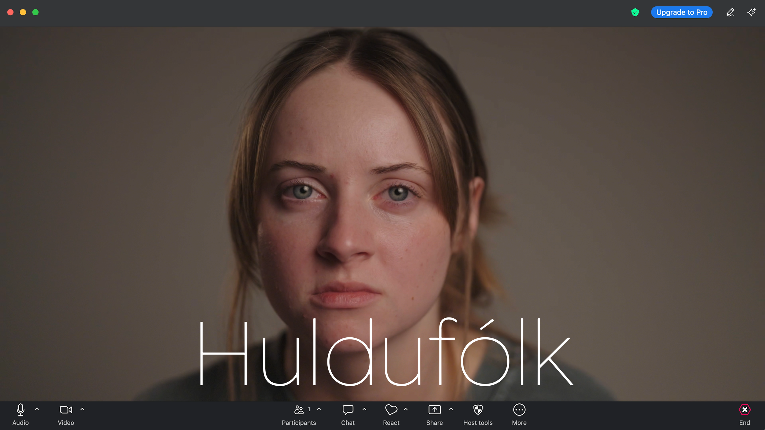Huldufólk