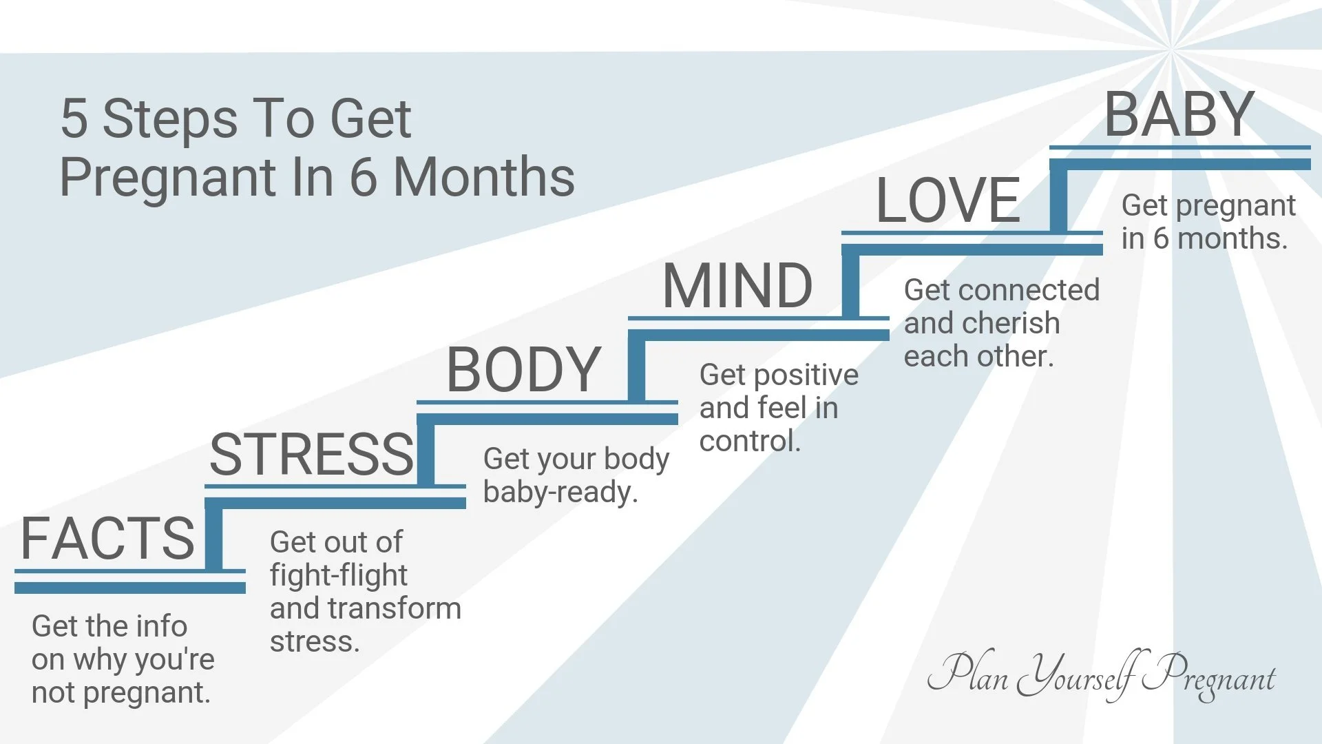 Your Plan To Get Pregnant — Plan Yourself Pregnant