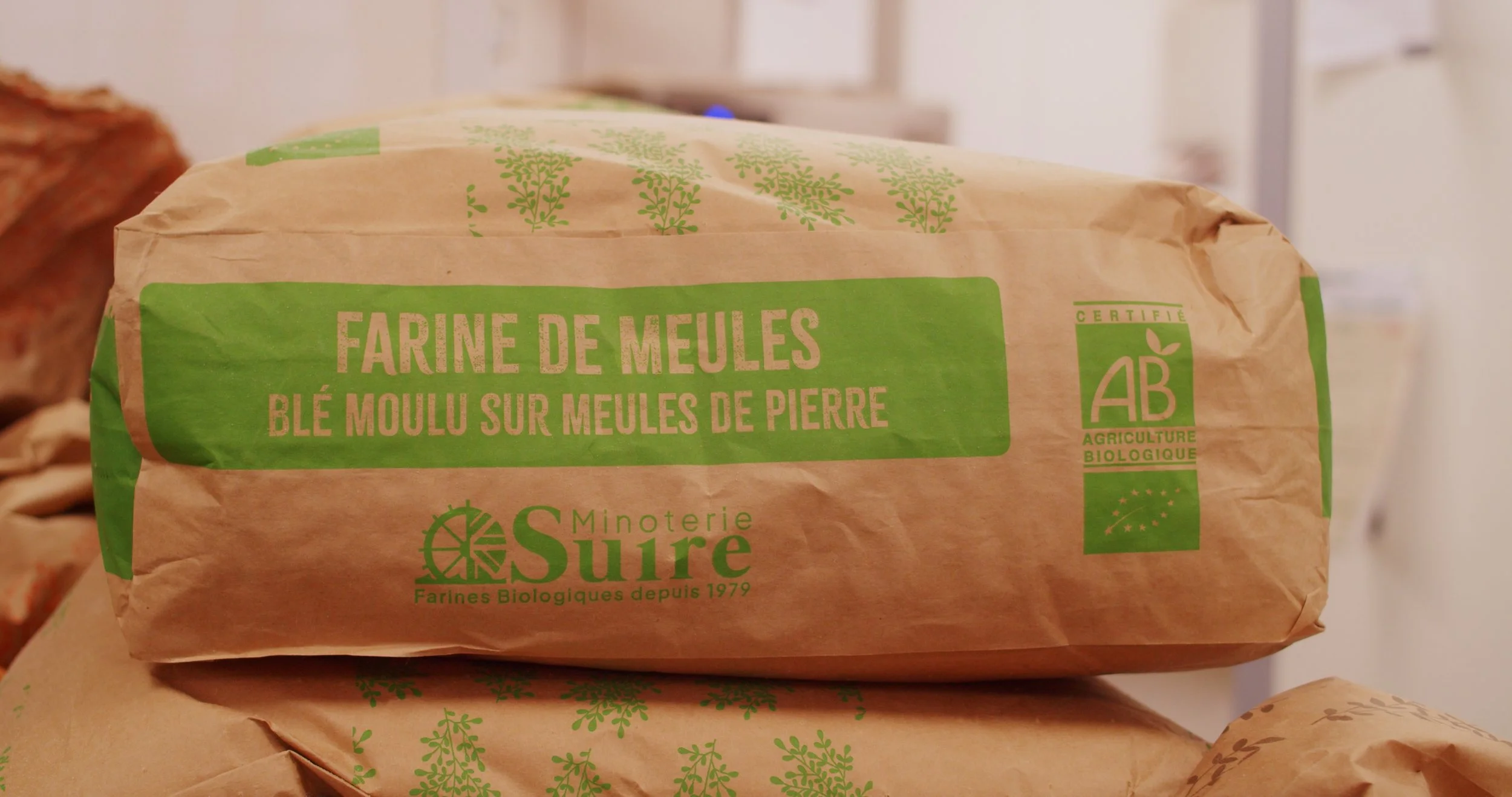 Image 2026-02-17 155103_1.31.1.jpg