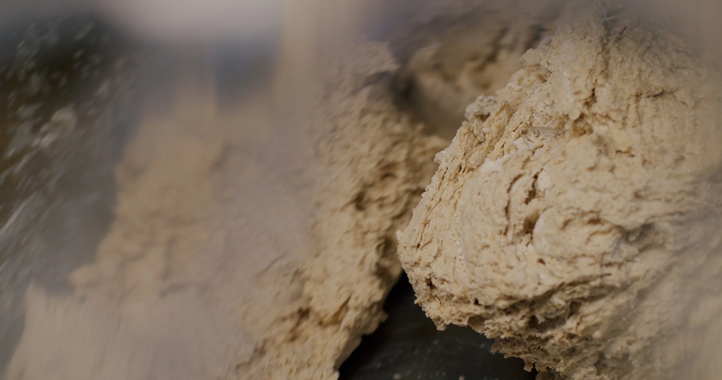 Image 2026-02-17 165445_3.132.1.jpg