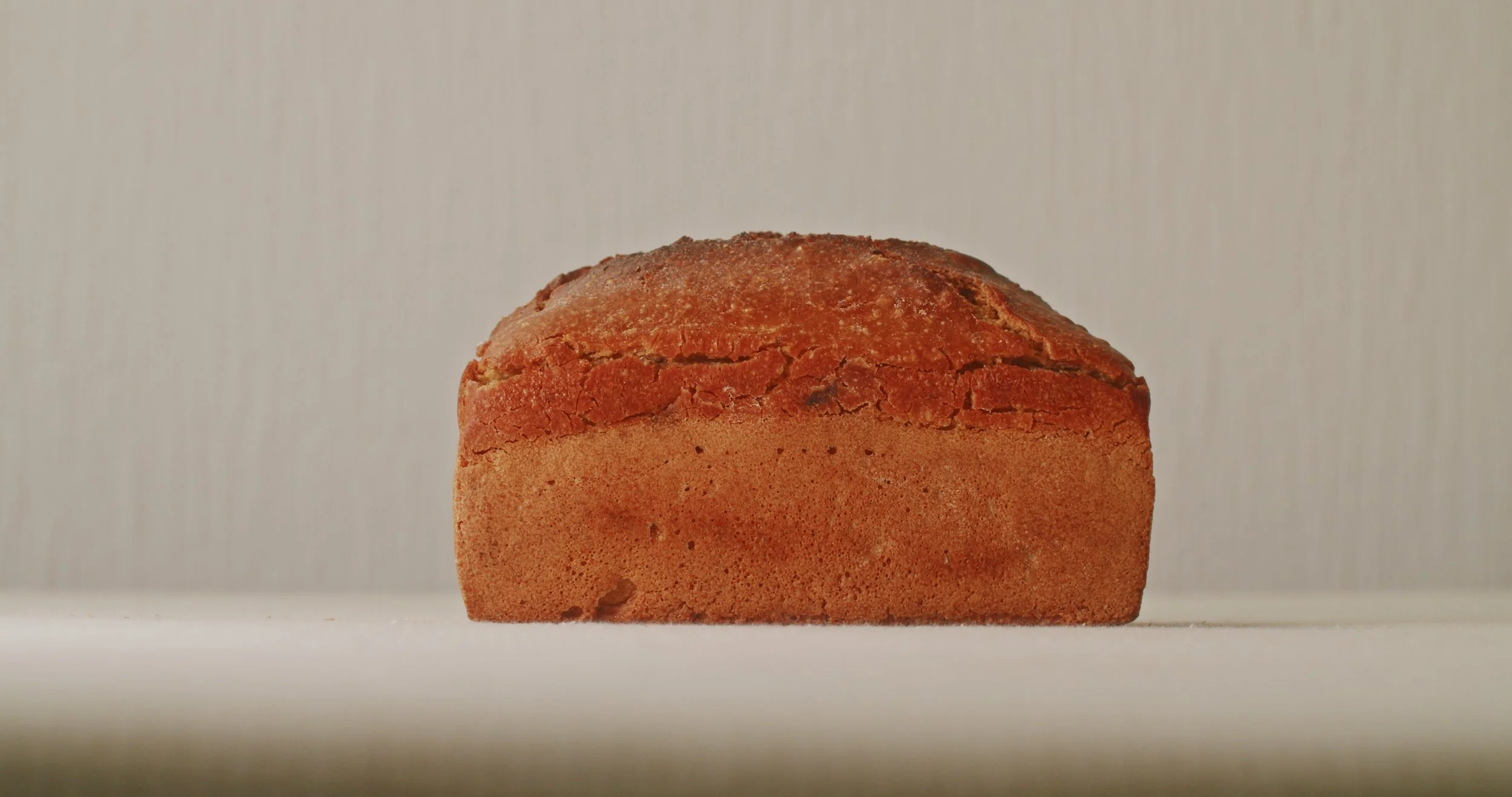 Image 2026-02-17 165445_3.124.1.jpg