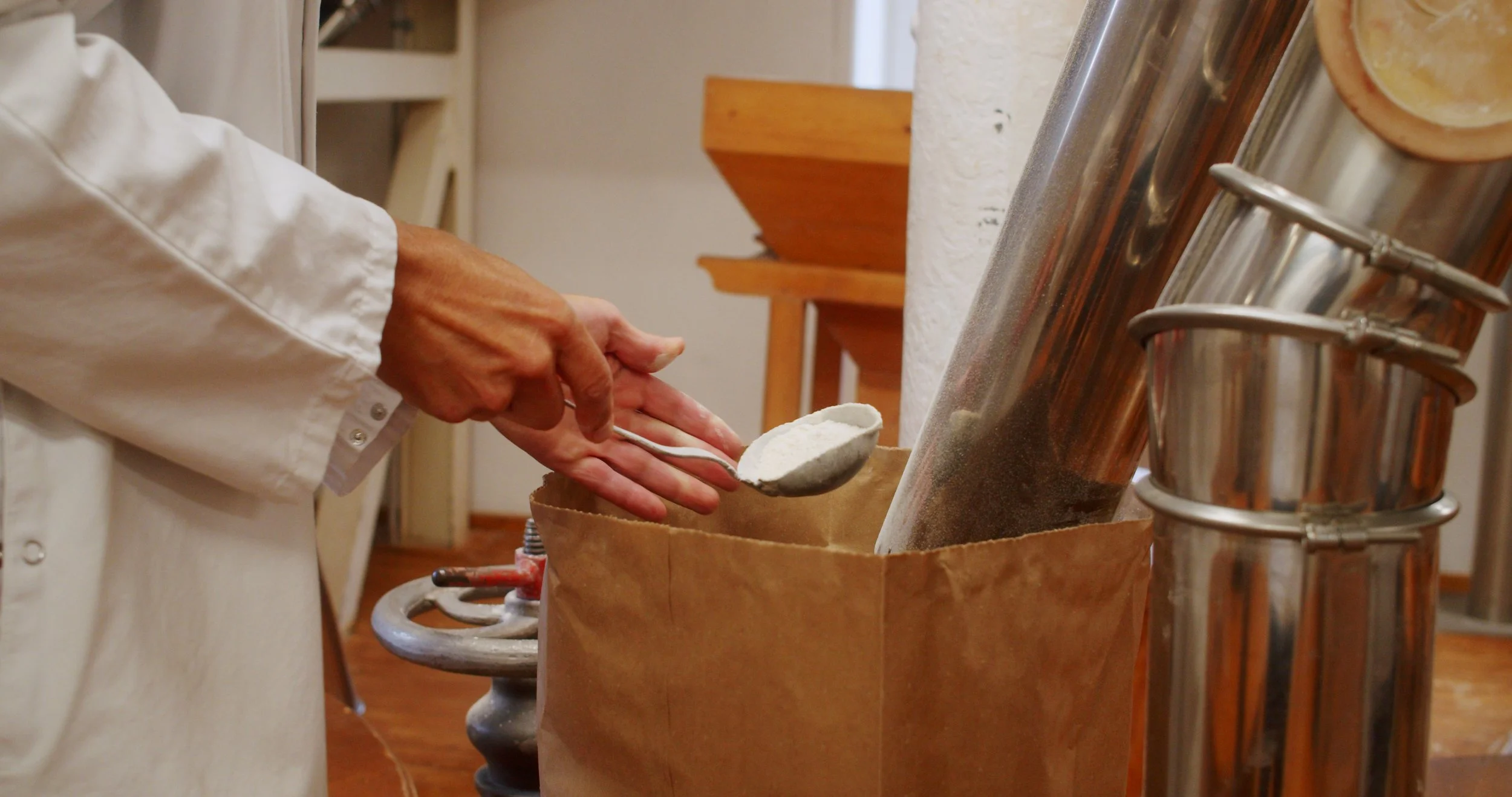 Image 2026-02-17 165445_3.89.1.jpg