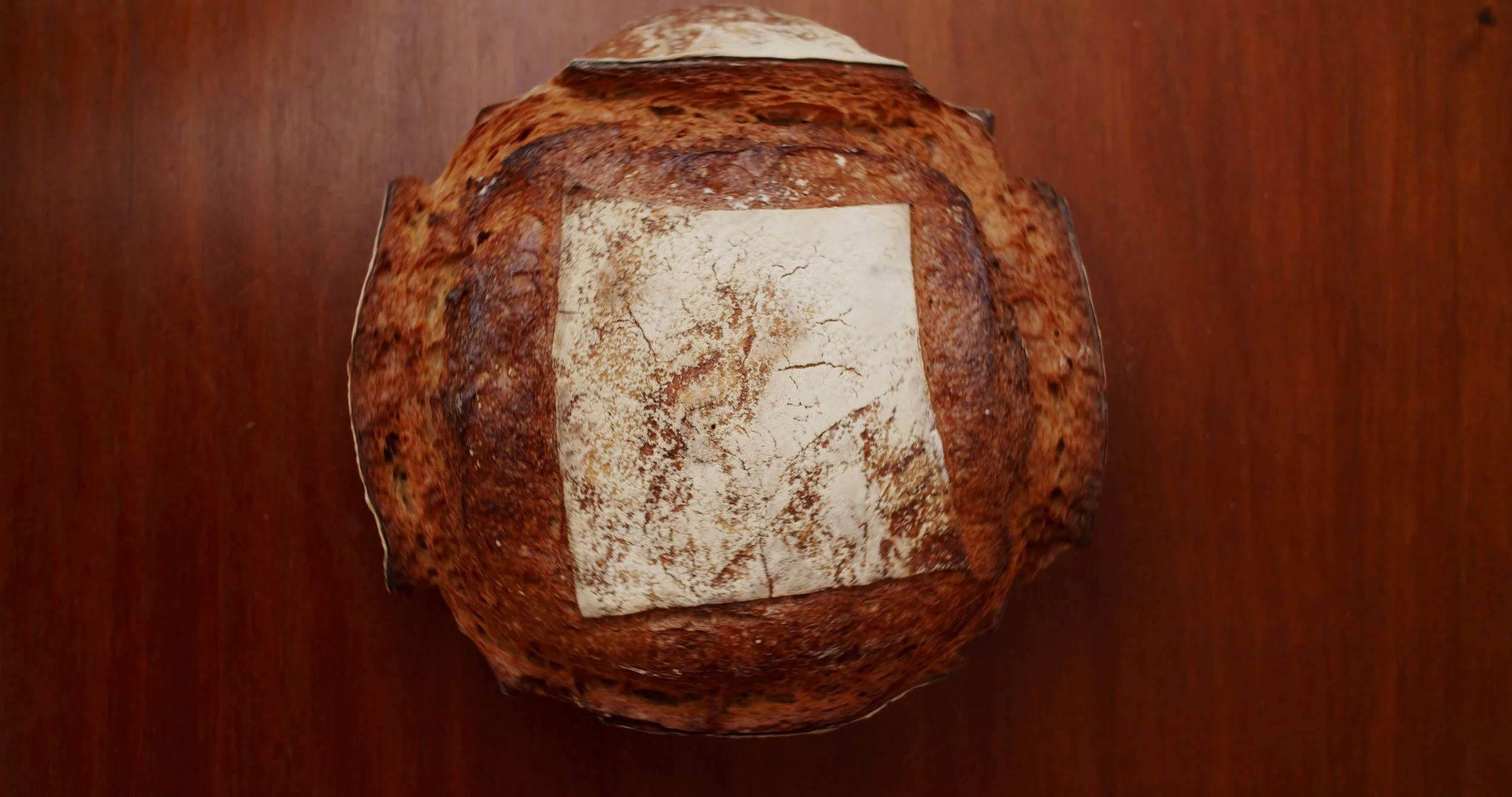 Image 2026-02-17 165445_3.81.1.jpg