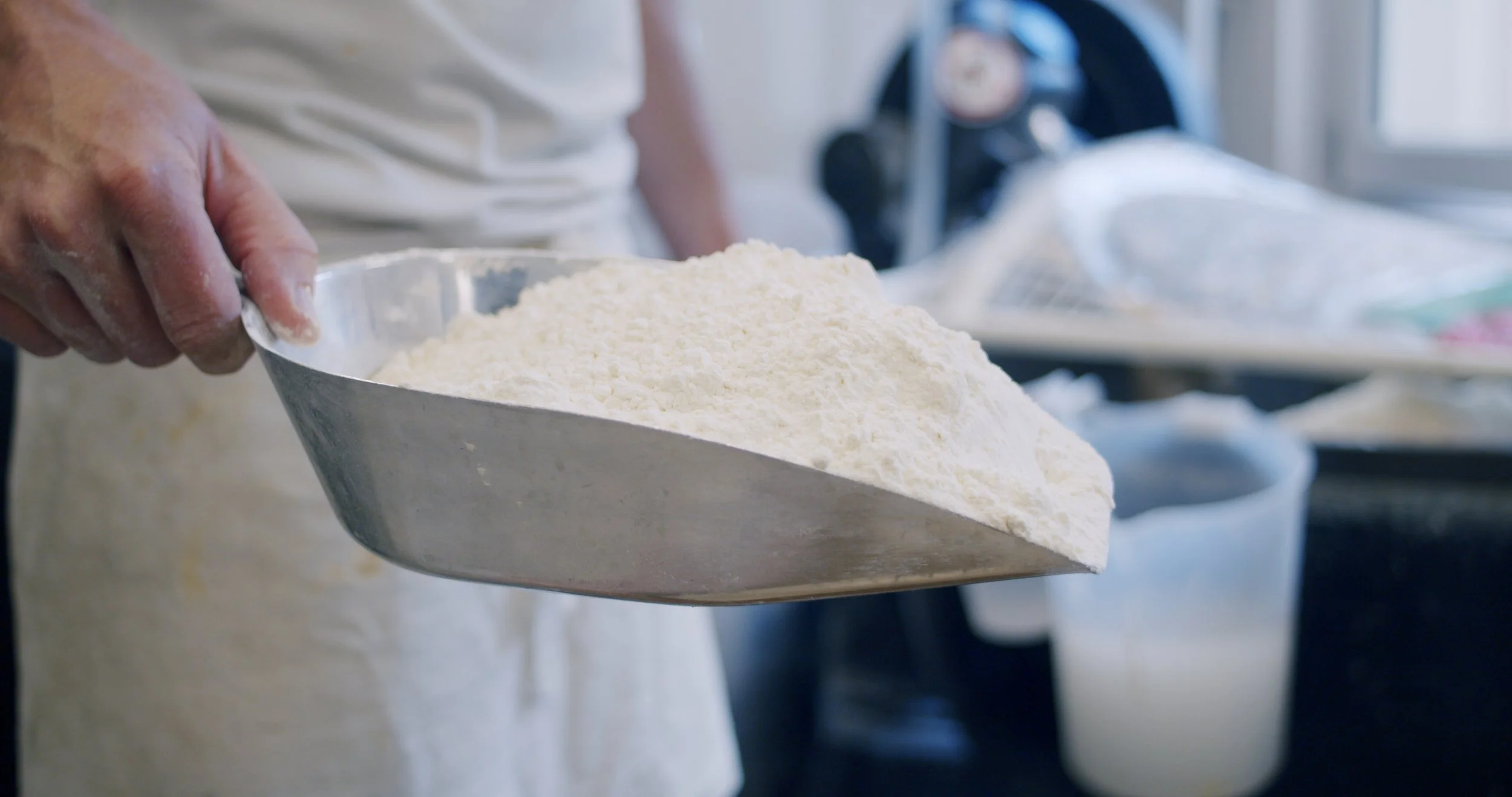 Image 2026-02-17 155103_1.176.1.jpg