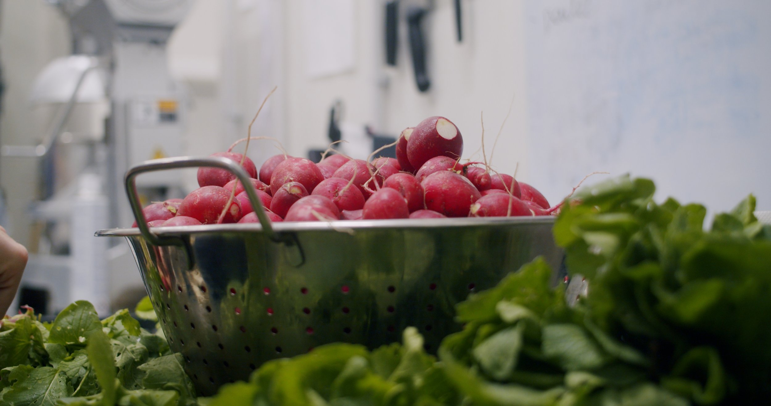 Image 2026-02-17 155103_1.93.1.jpg