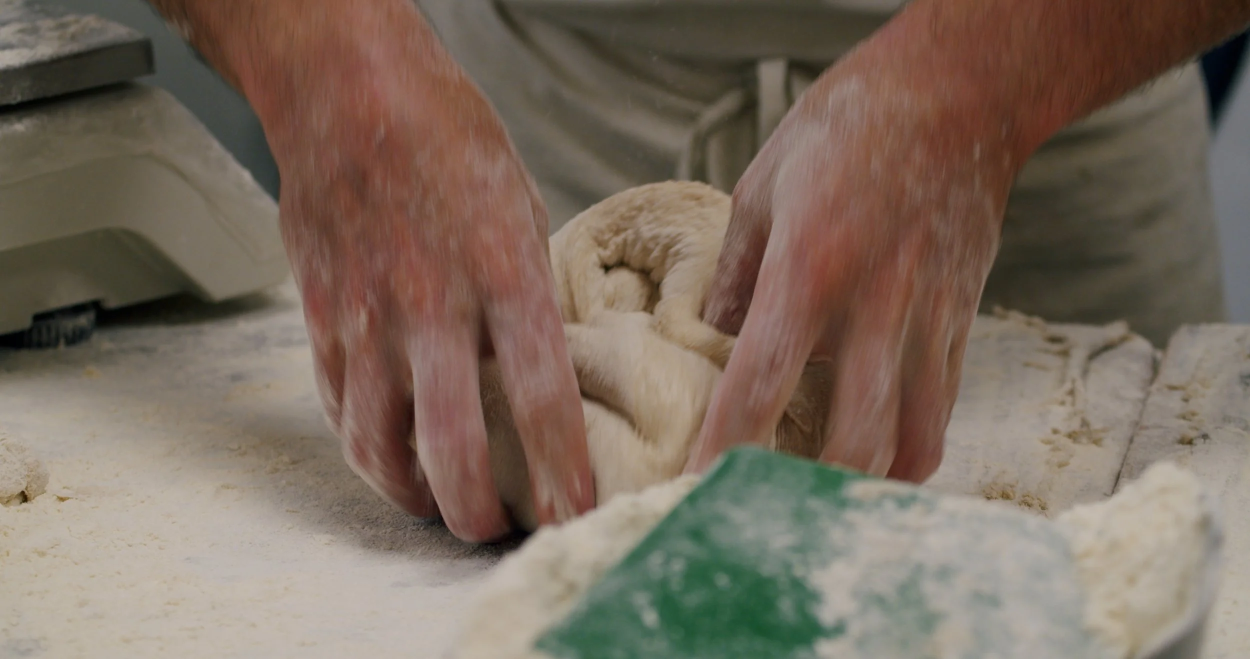 Image 2026-02-17 165445_3.153.1.jpg