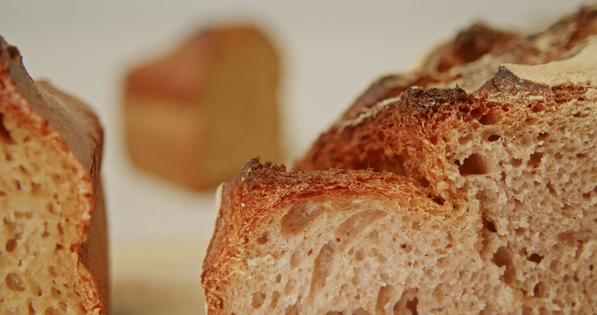 Image 2026-02-17 155103_1.28.1.jpg