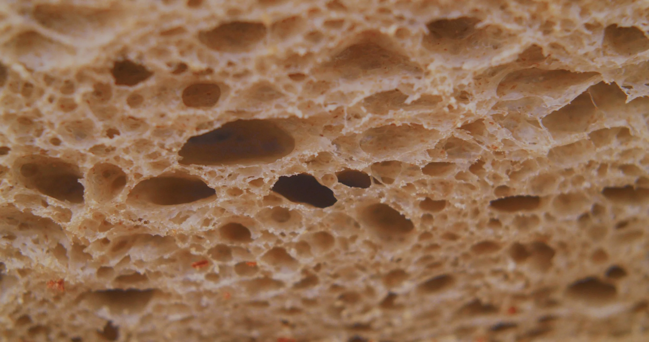 Image 2026-02-17 155103_1.40.1.jpg