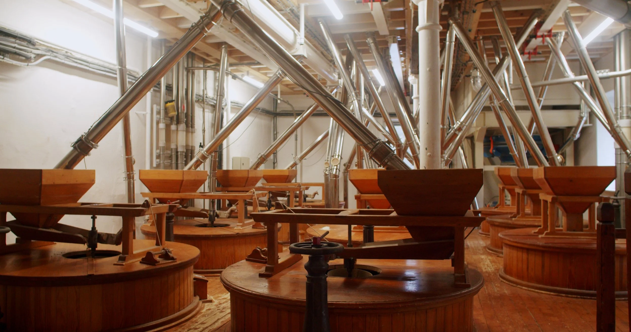 Image 2026-02-17 165445_3.100.1.jpg