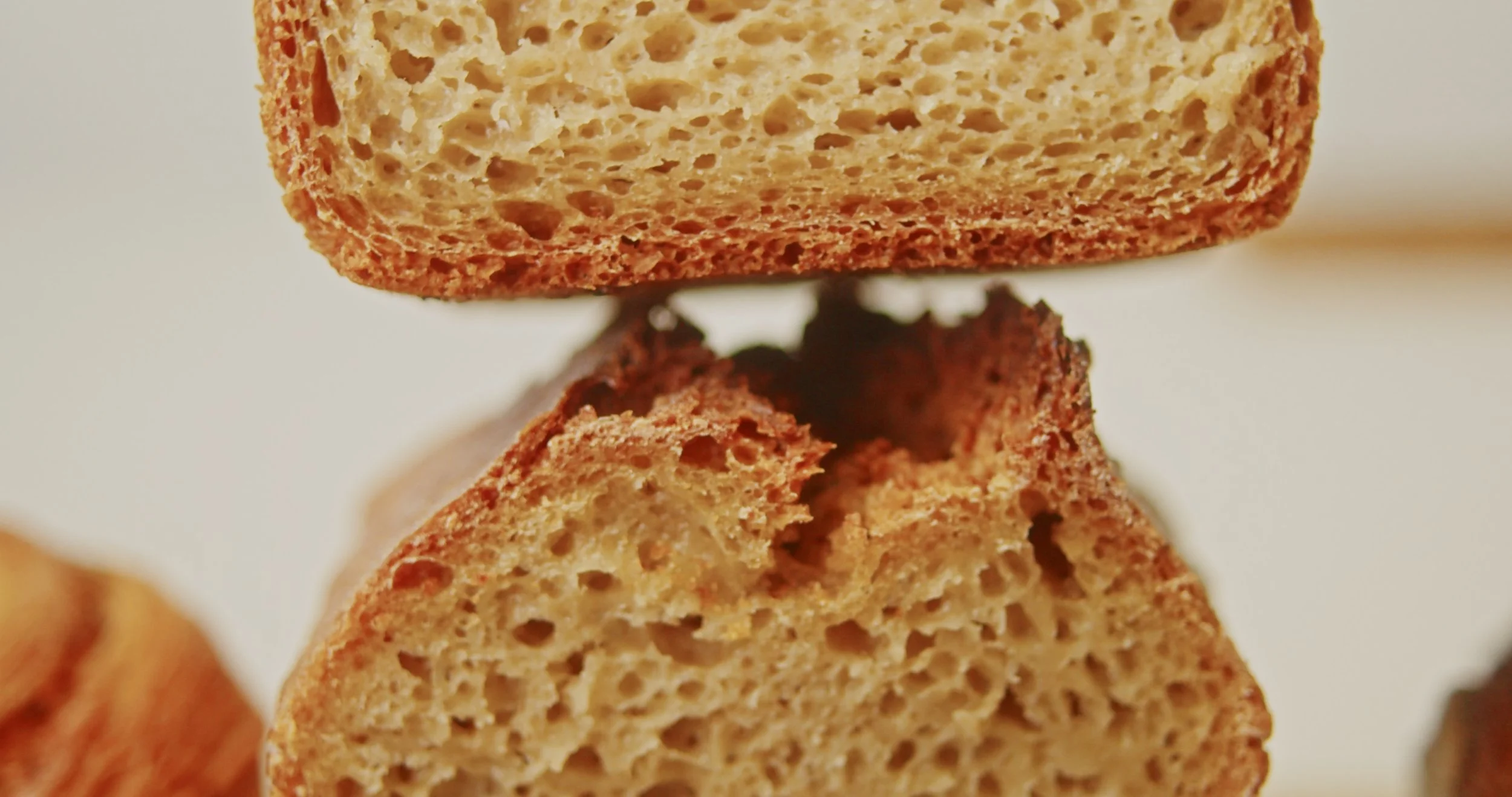 Image 2026-02-17 155103_1.24.1.jpg