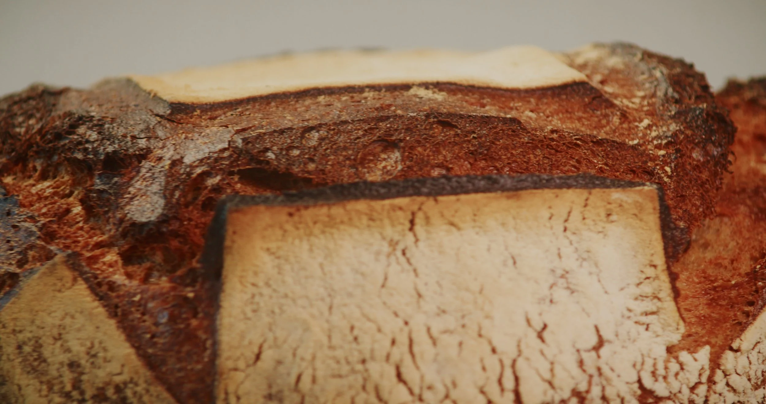 Image 2026-02-17 165445_3.125.1.jpg