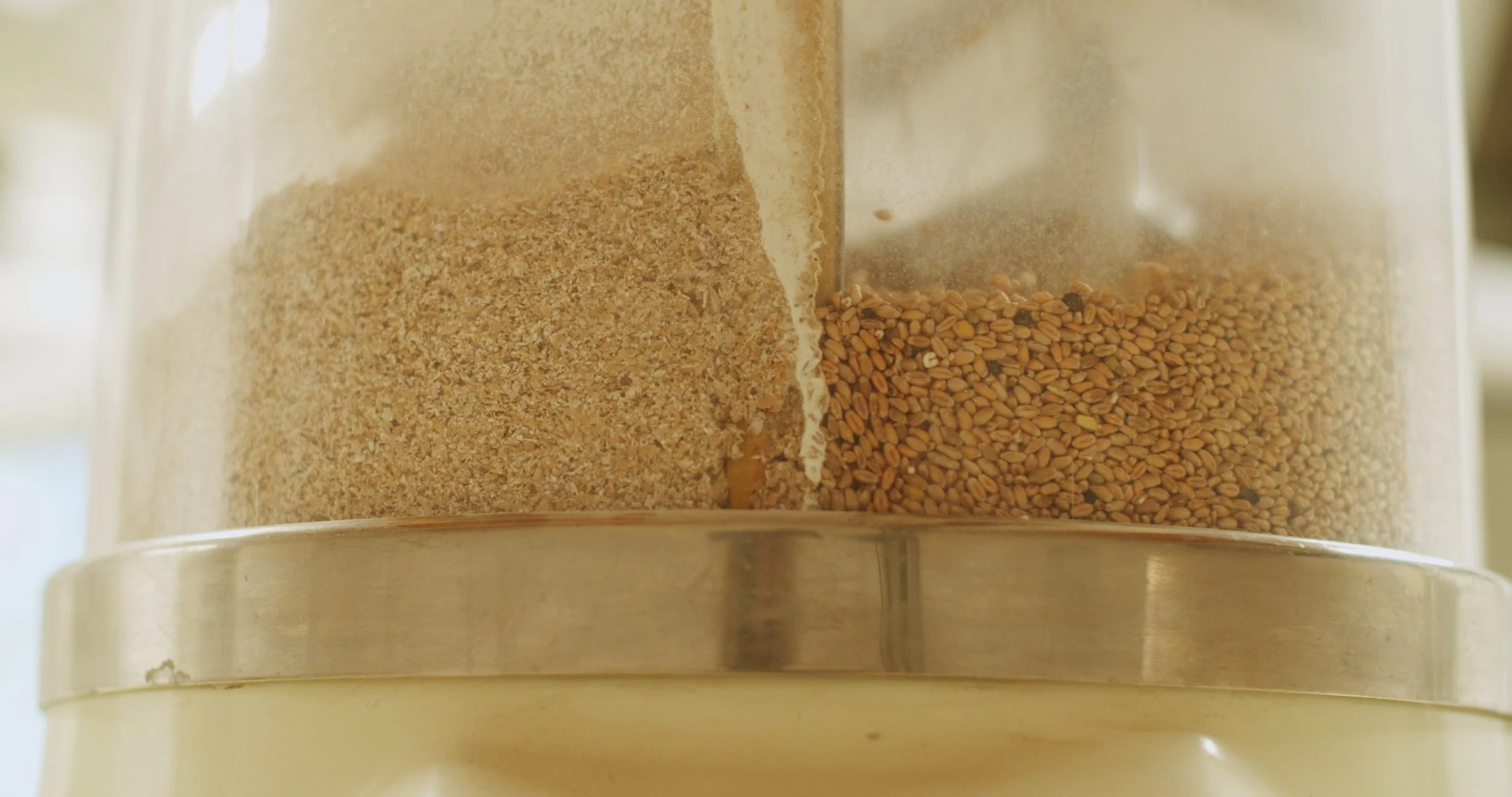 Image 2026-02-17 165445_3.94.1.jpg