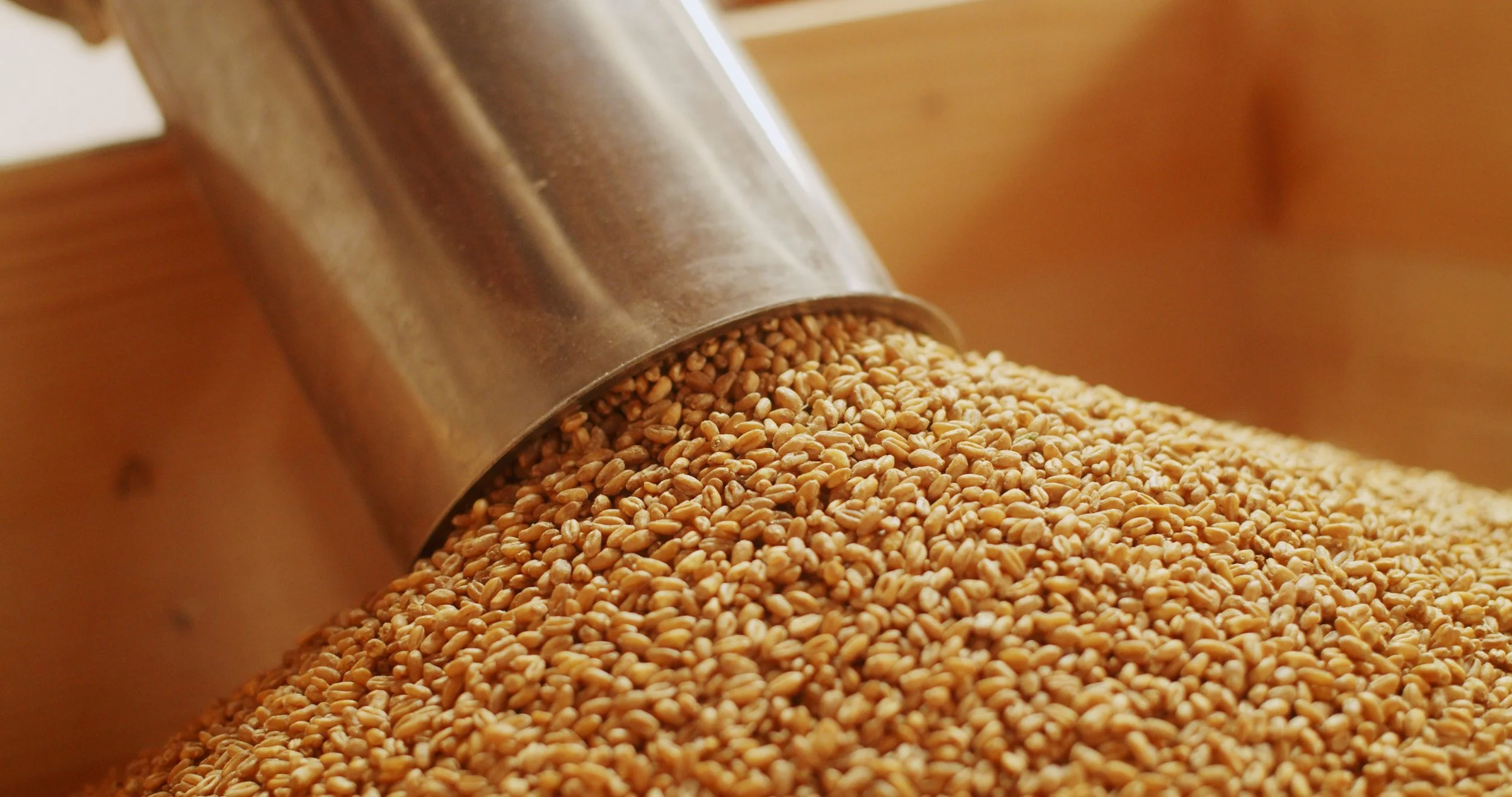 Image 2026-02-17 155103_1.46.1.jpg