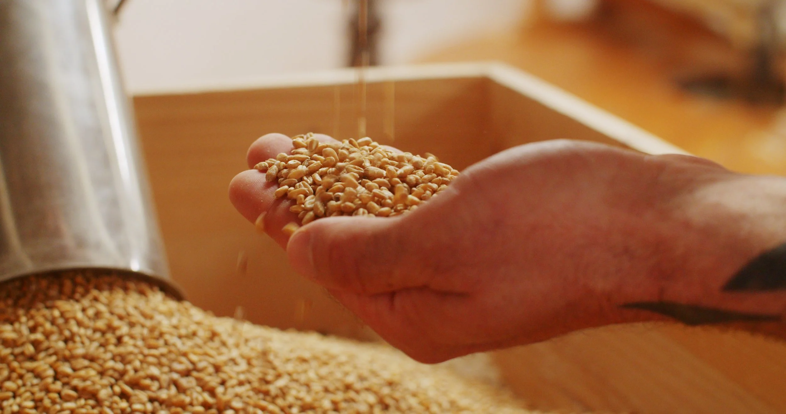 Image 2026-02-17 165445_3.99.1.jpg