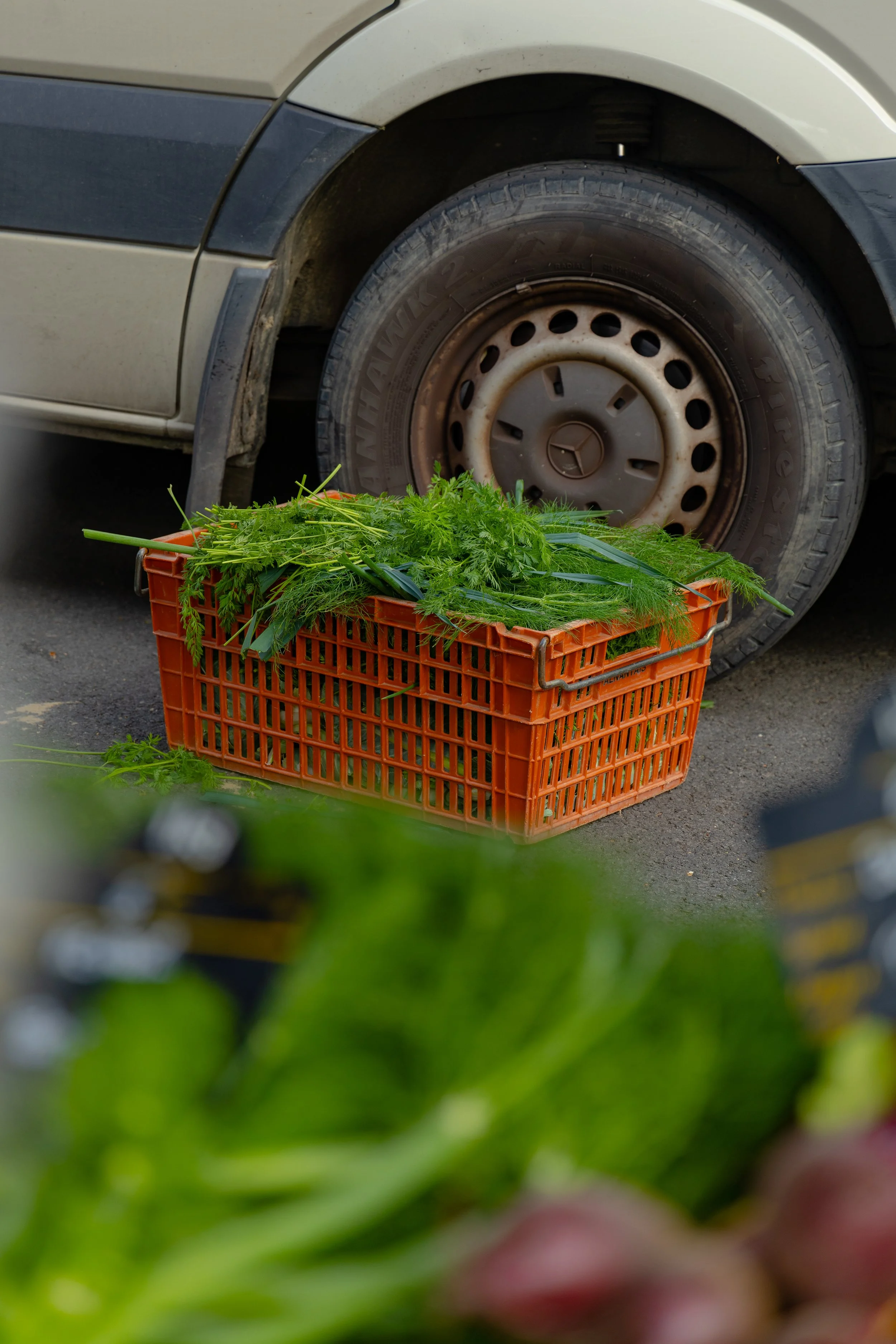 Au marché avec Cheffe Tessy Baddy 