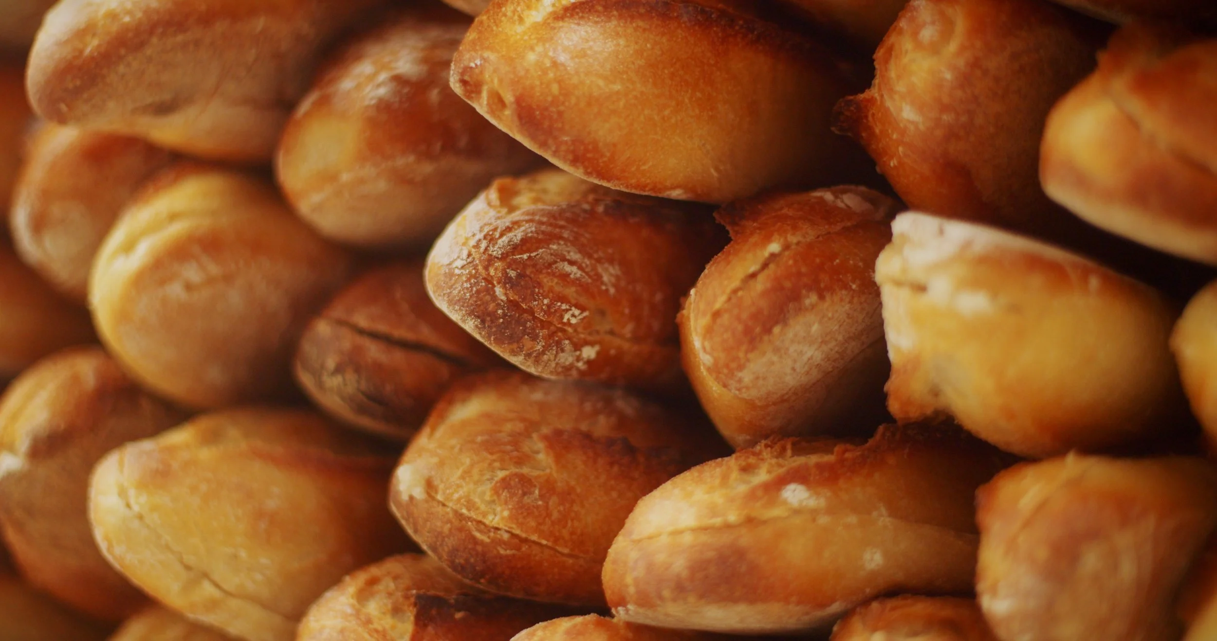 Image 2026-02-17 165445_3.256.1.jpg