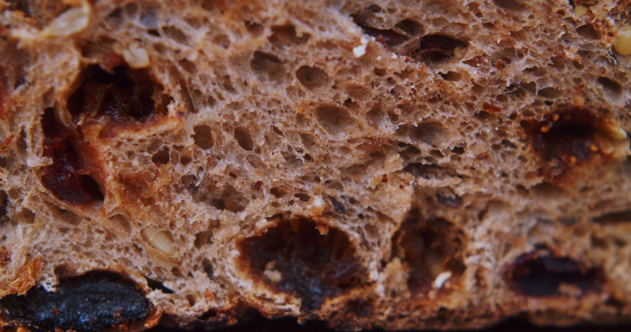 Image 2026-02-17 155103_1.41.1.jpg