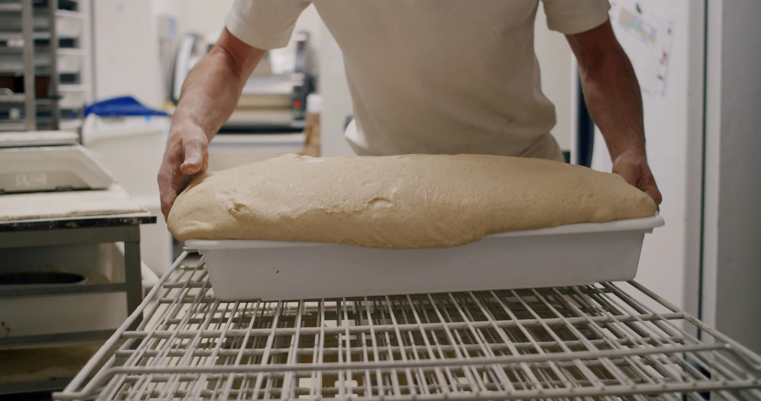 Image 2026-02-17 165445_3.145.1.jpg