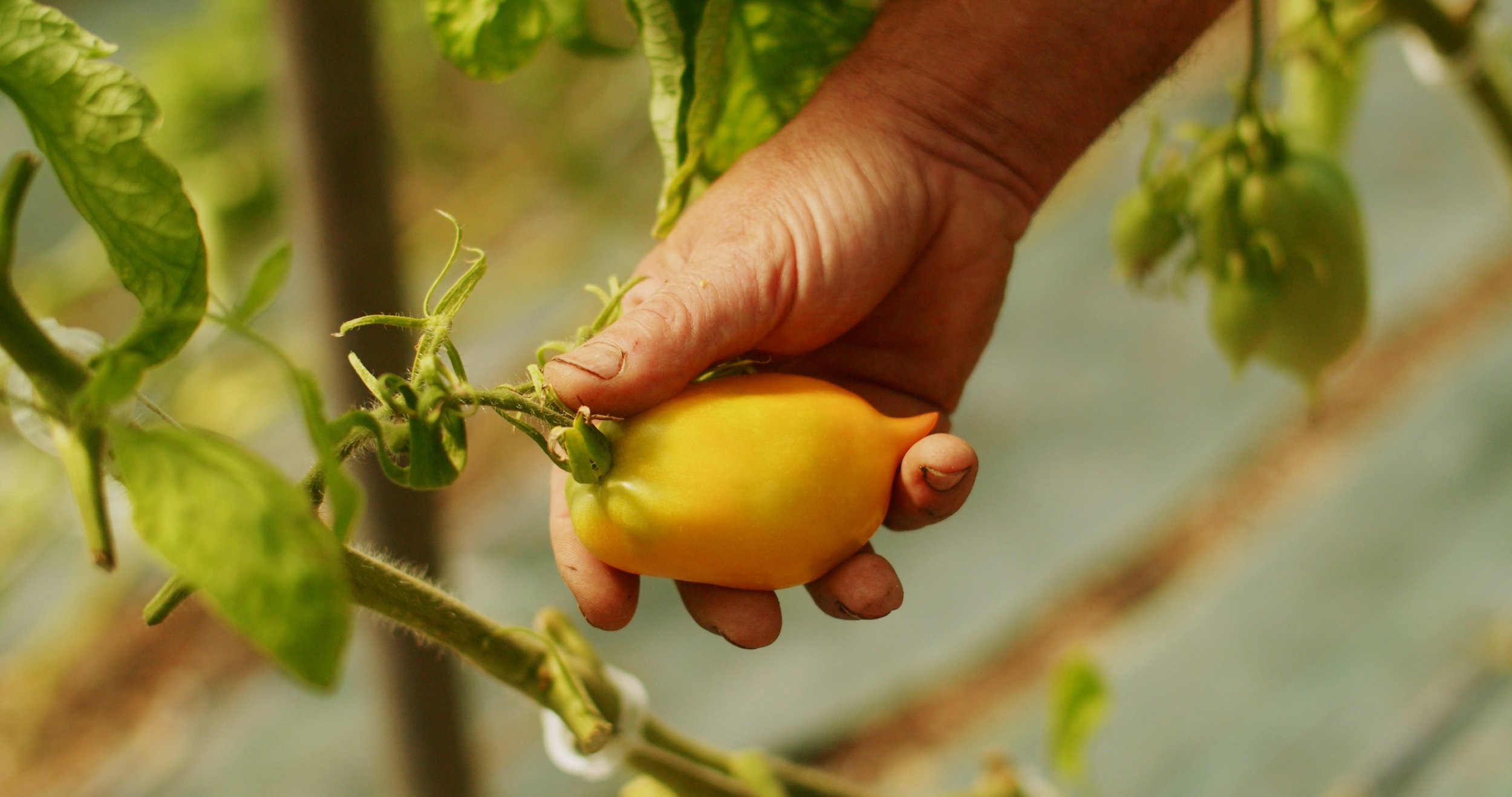 Image 2026-02-17 165445_3.64.1.jpg