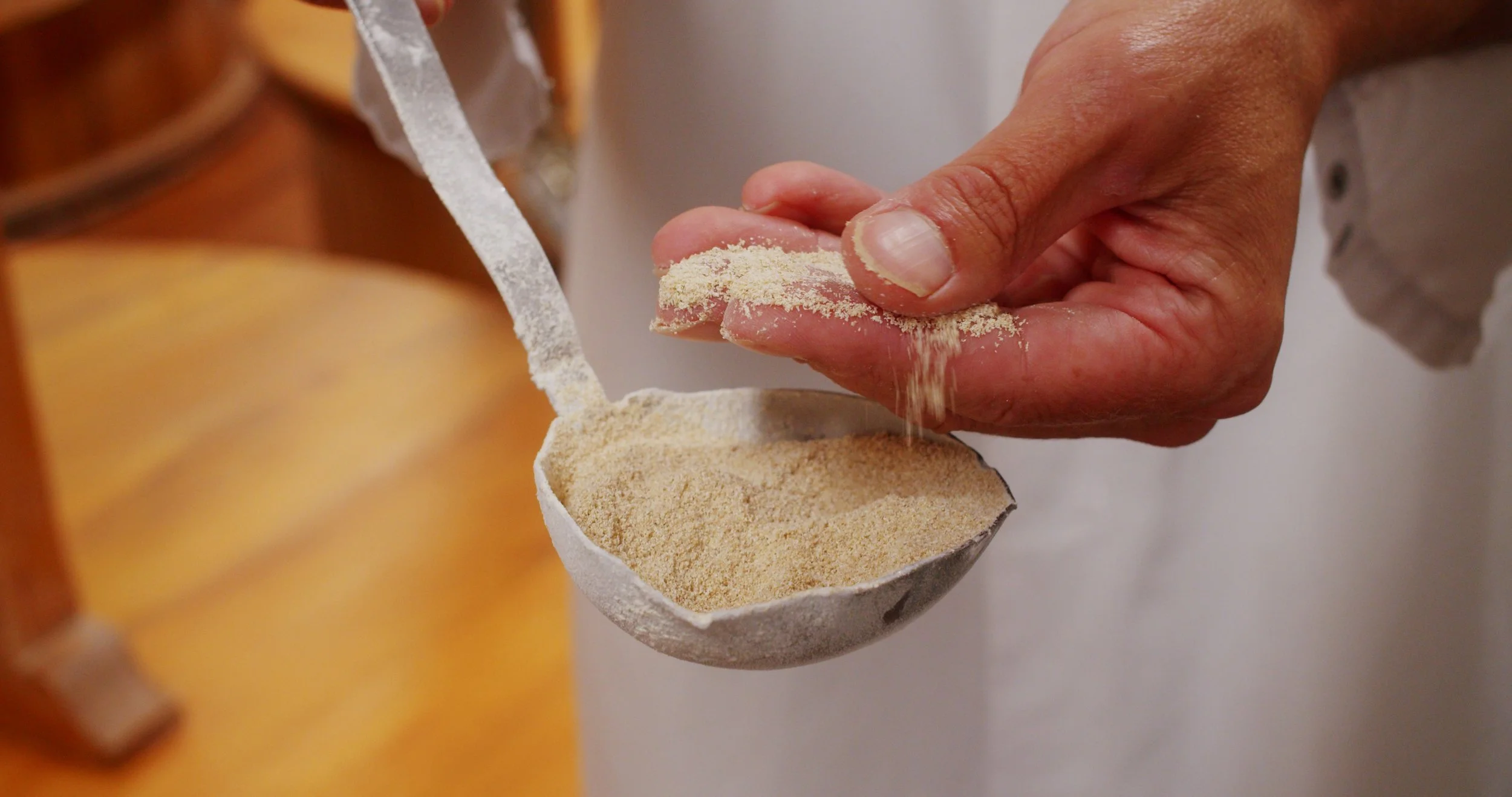 Image 2026-02-17 165445_1.75.1.jpg