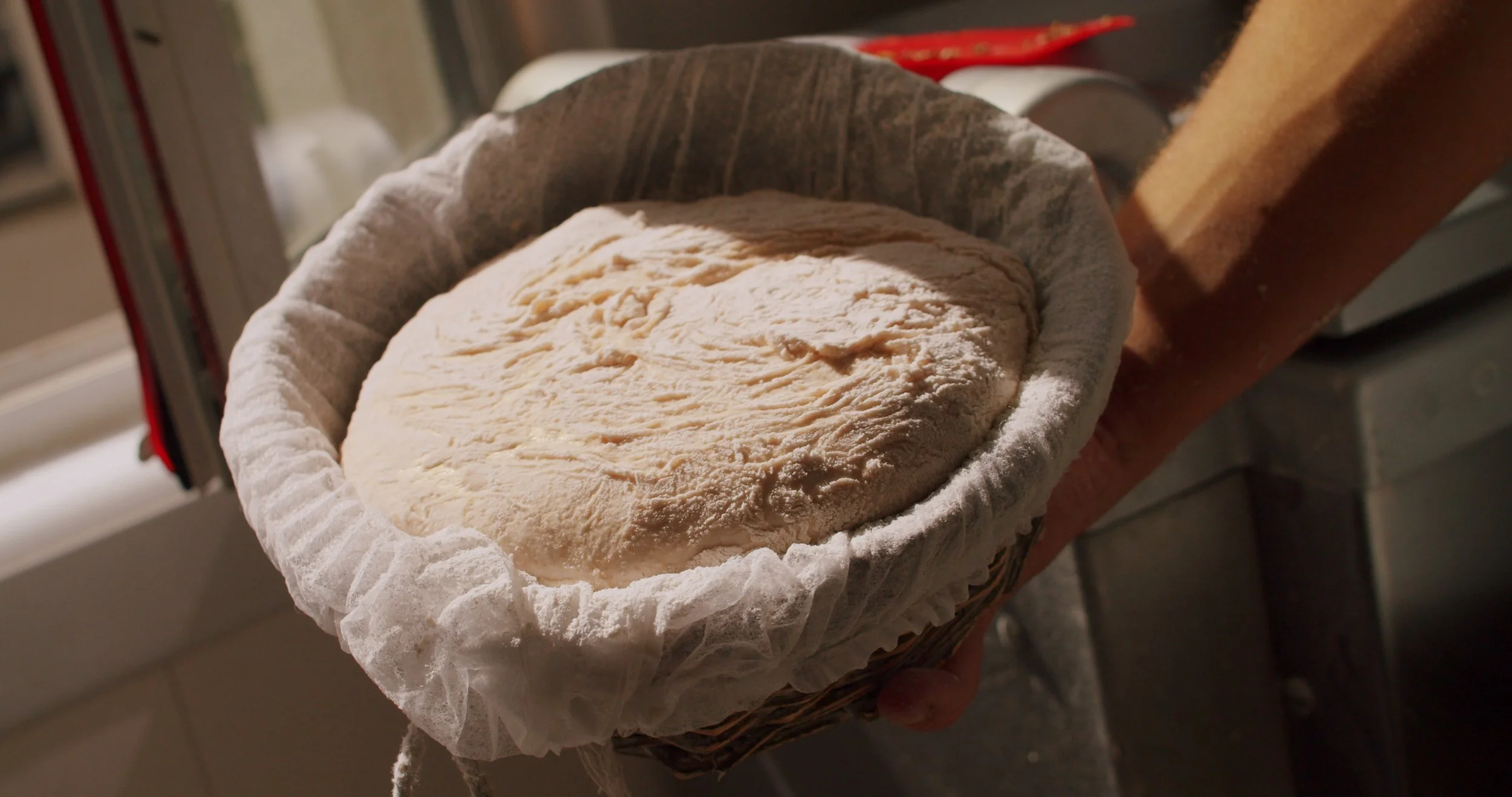 Image 2026-02-17 165445_3.157.1.jpg