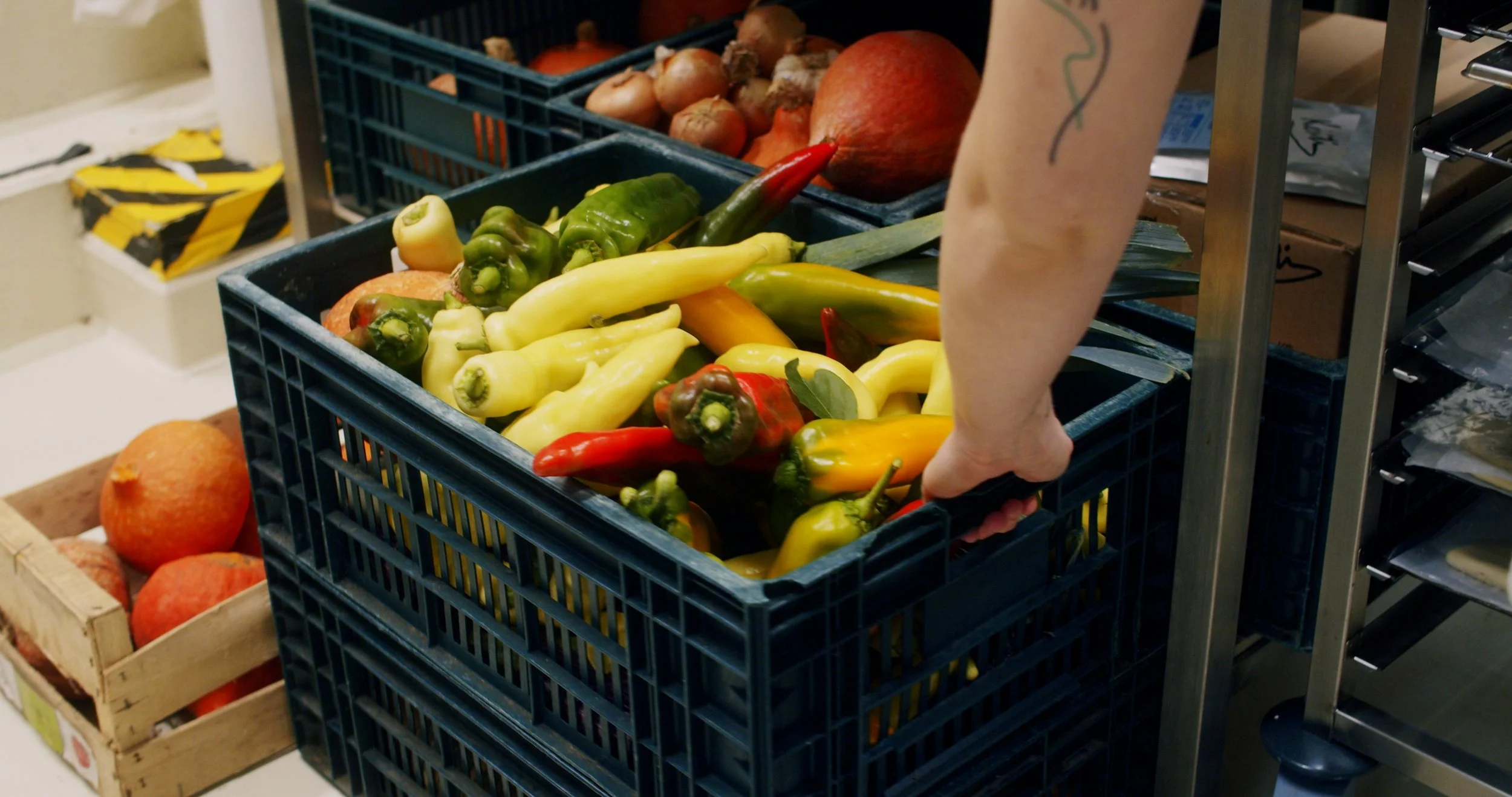 Image 2026-02-17 155103_1.75.1.jpg