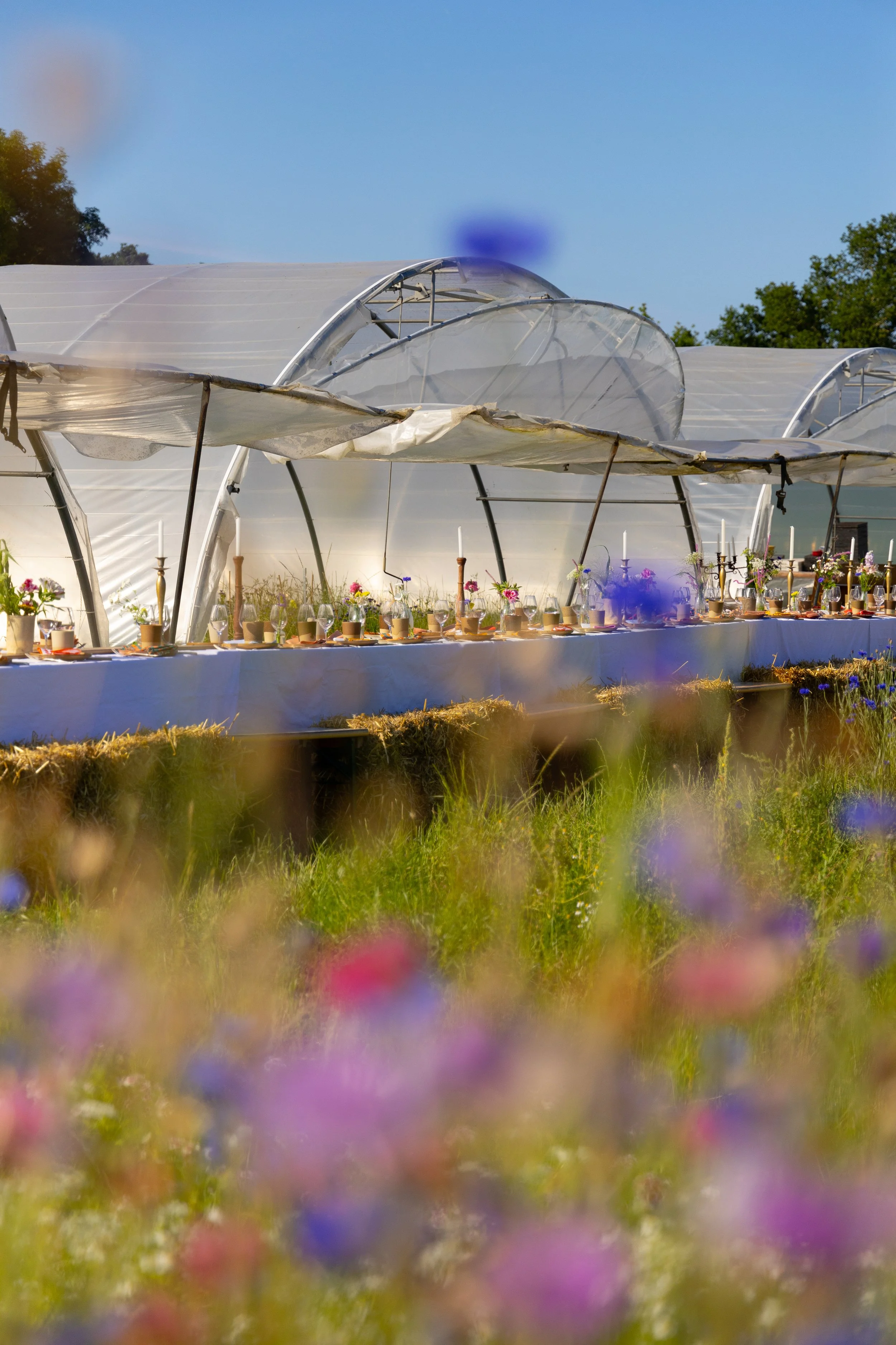 BEAU MAGAZINE x TANDEM x LES SARDINES A LA PLAGE x LES FLEURS D'ELSA