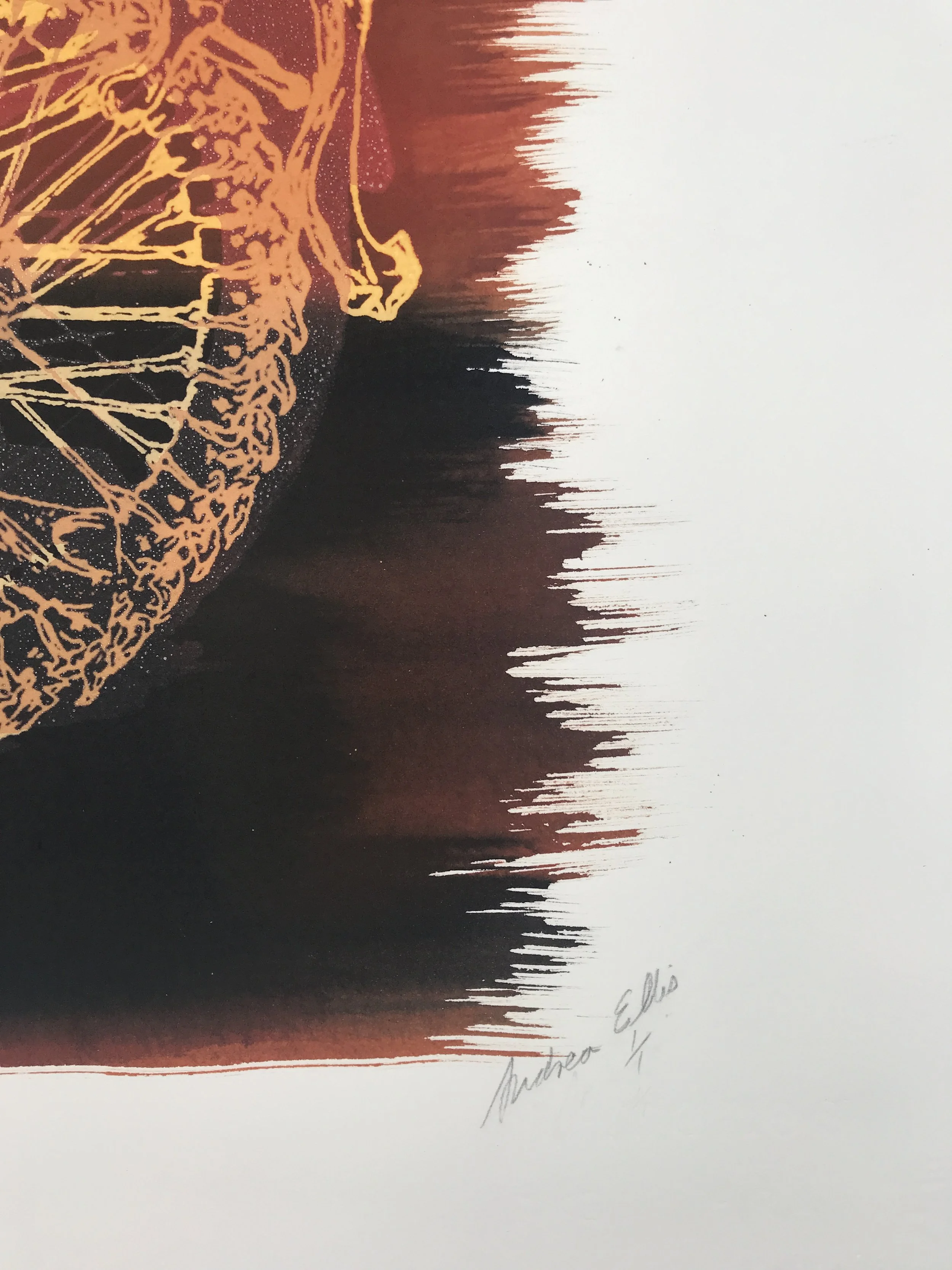 16.Animoto  2signature .JPG