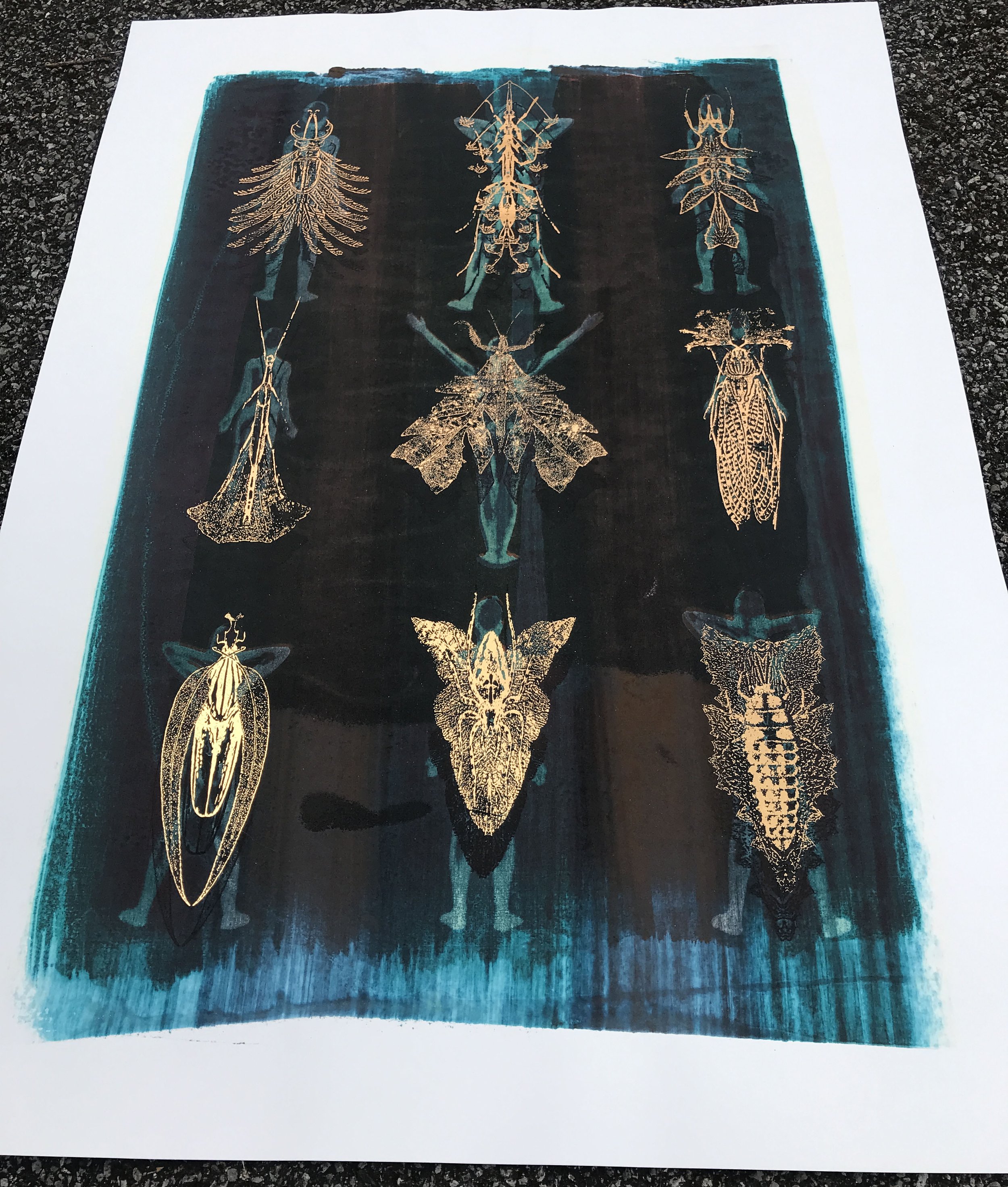 21.Intimology 8 angle.JPG