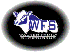 Walker Family Shorthorns