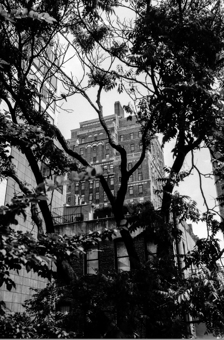 Screenshot 2026-01-27 at 12.30.00.png